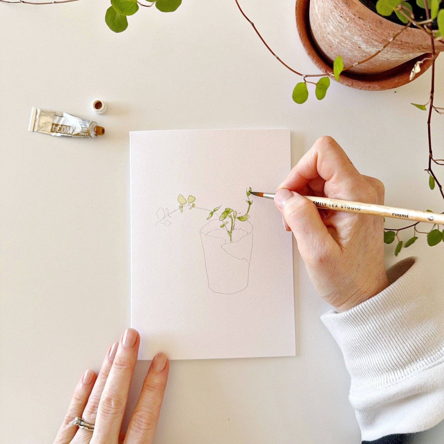 Potted Plants Paintable Notecards - emily lex studio
