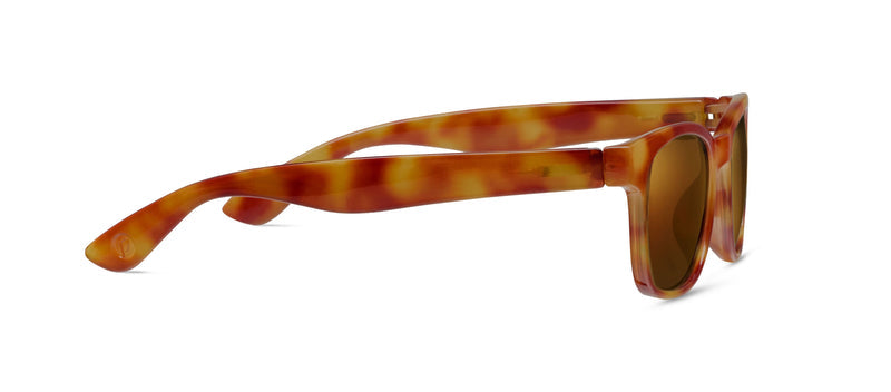 18th Hole Polarized Sunglasses - Amber Tortoise