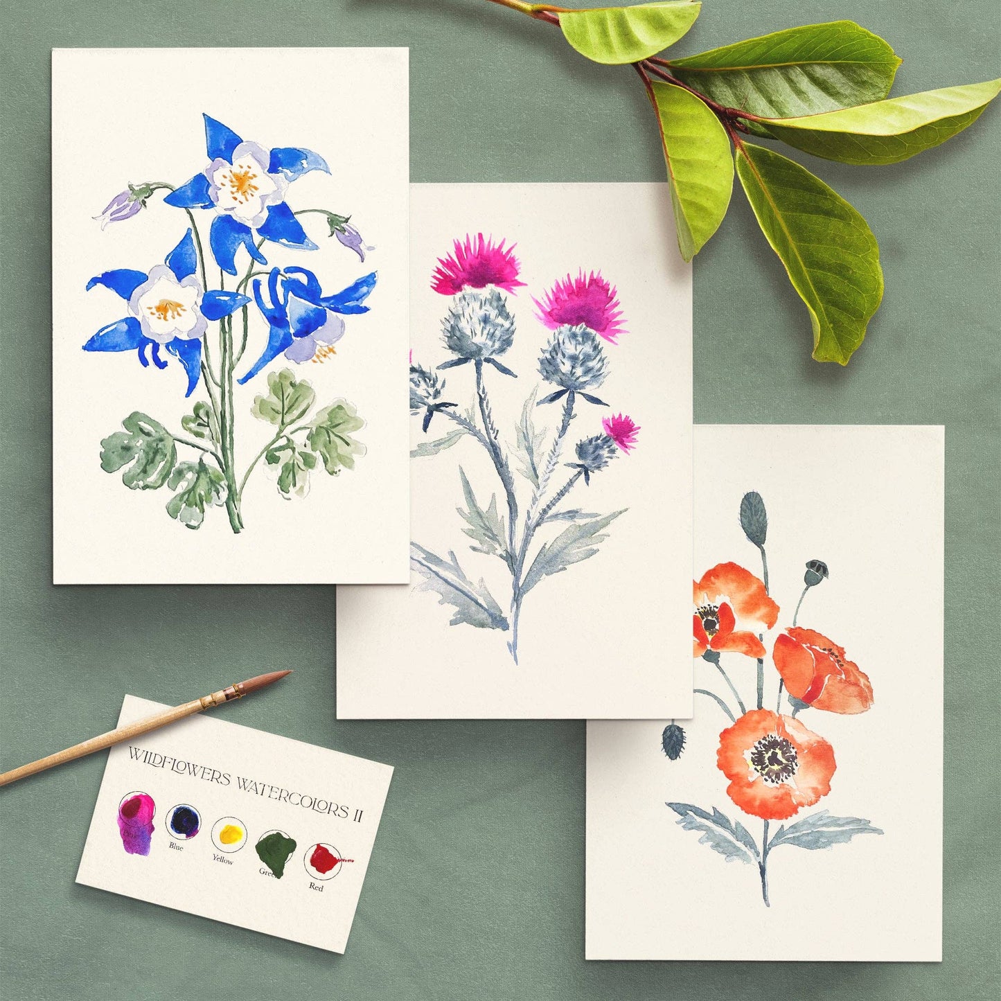Antiquaria Watercolor Painting Kit : Wildflowers No2