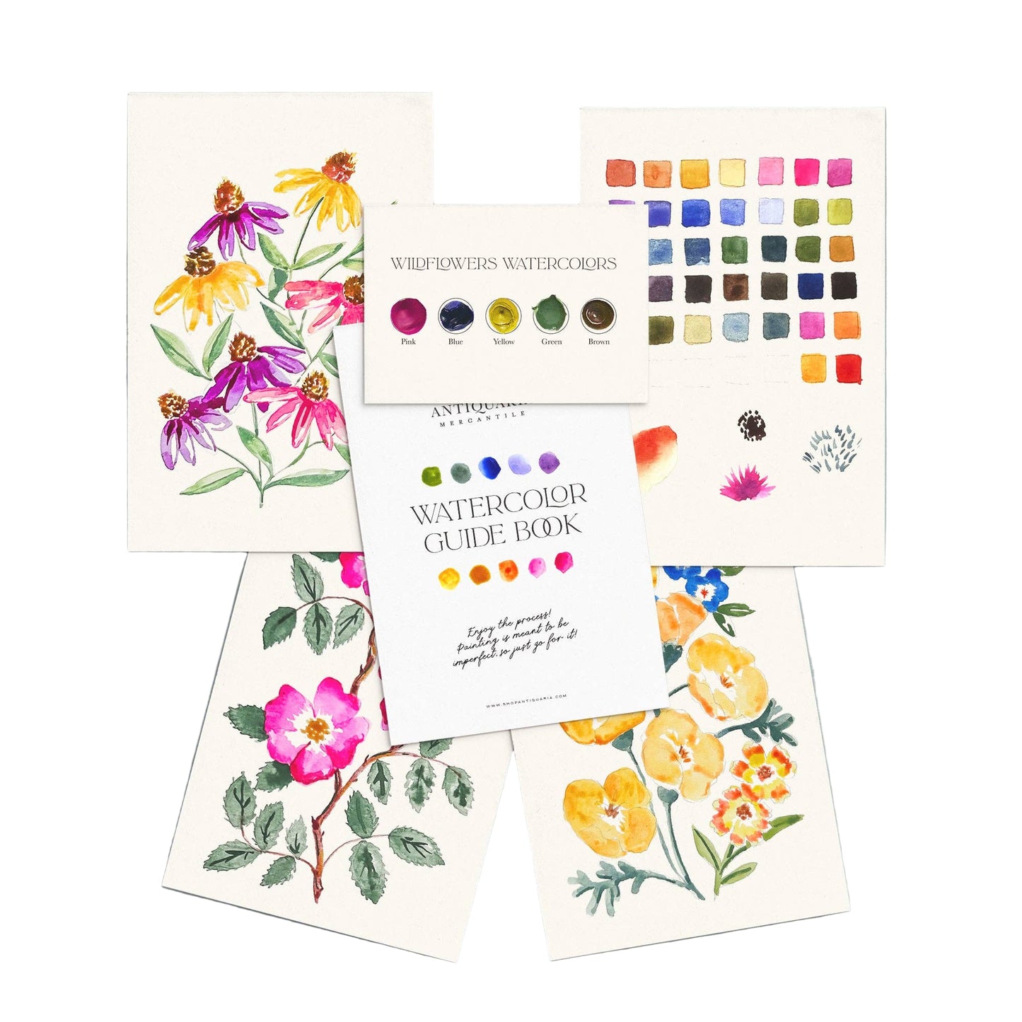 Antiquaria Watercolor Painting Kit : Wildflowers No1