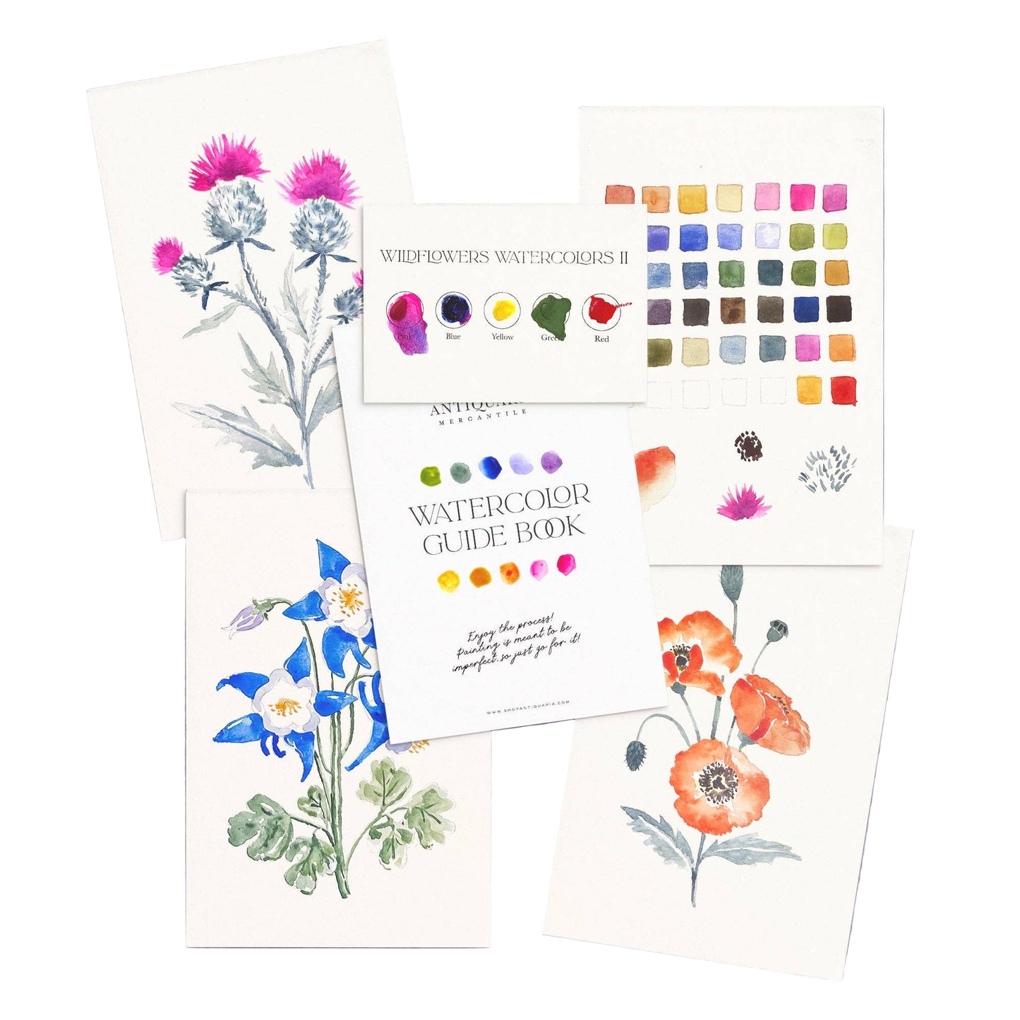 Antiquaria Watercolor Painting Kit : Wildflowers No2
