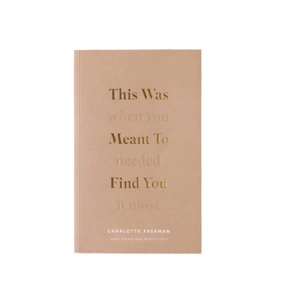 This Was Meant To Find You (When You Needed It Most) - Book