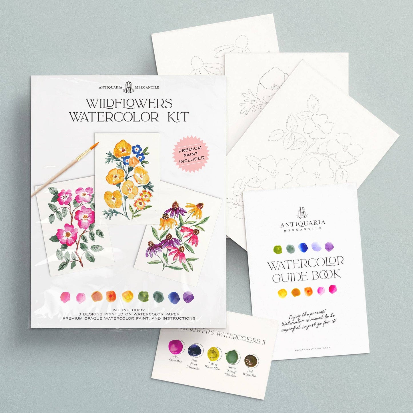 Antiquaria Watercolor Painting Kit : Wildflowers No1