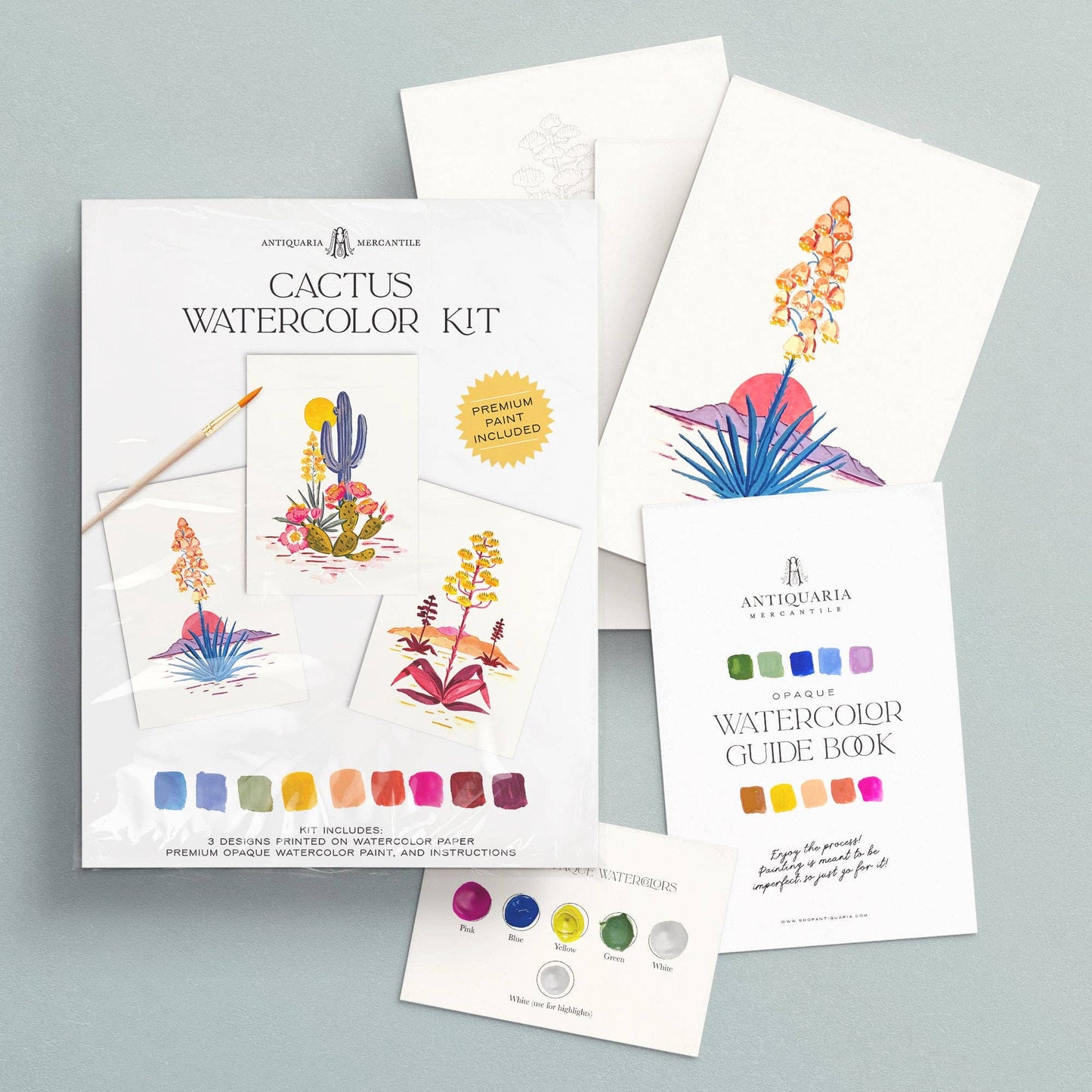 Antiquaria Watercolor Painting Kit: Cactus