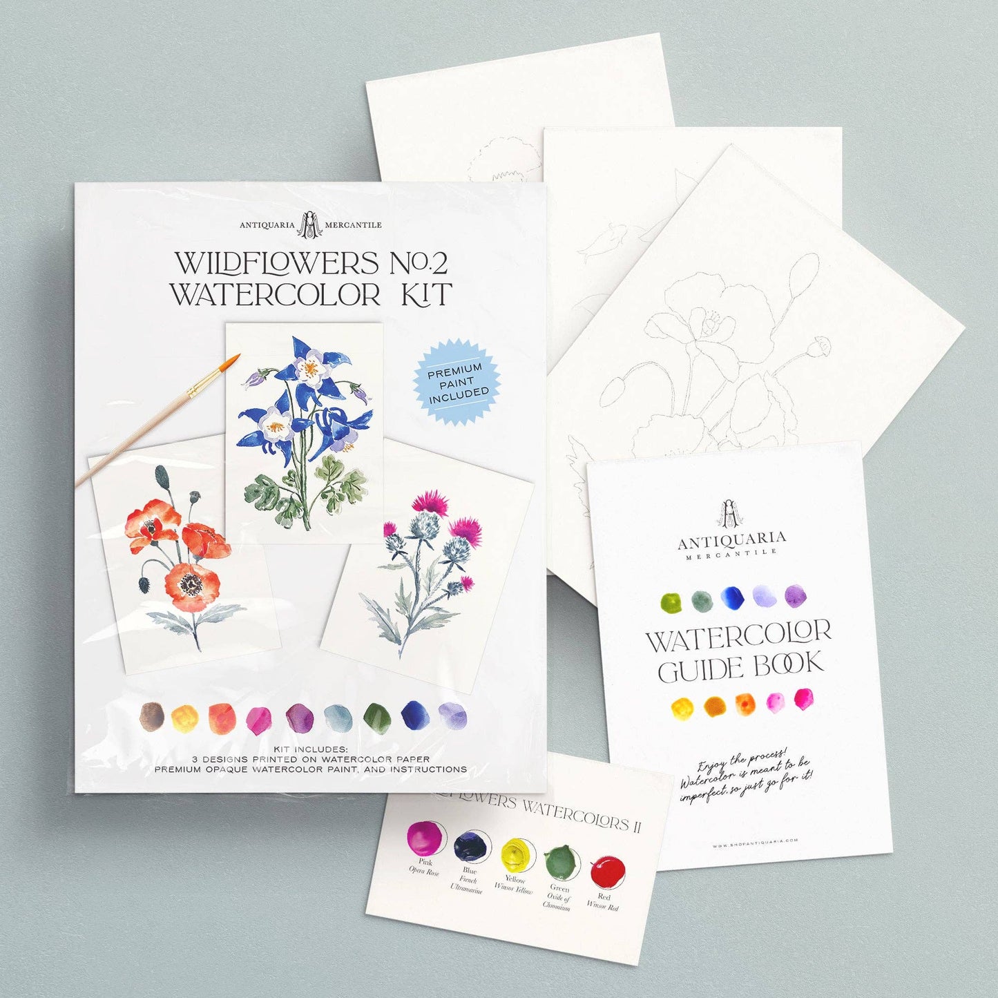 Antiquaria Watercolor Painting Kit : Wildflowers No2