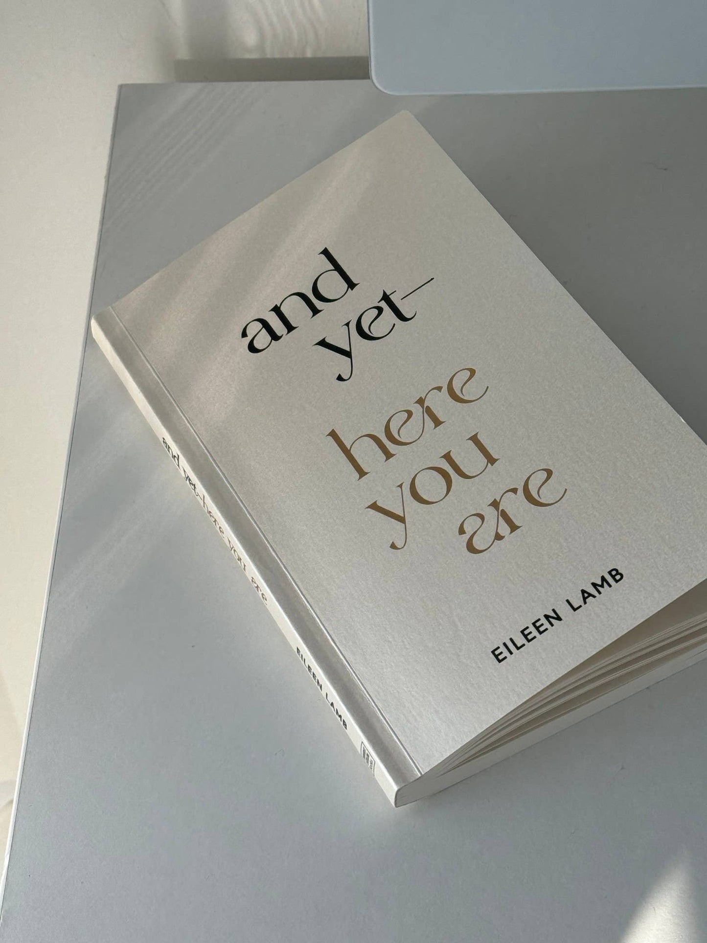 And Yet – Here You Are - Eileen Lamb