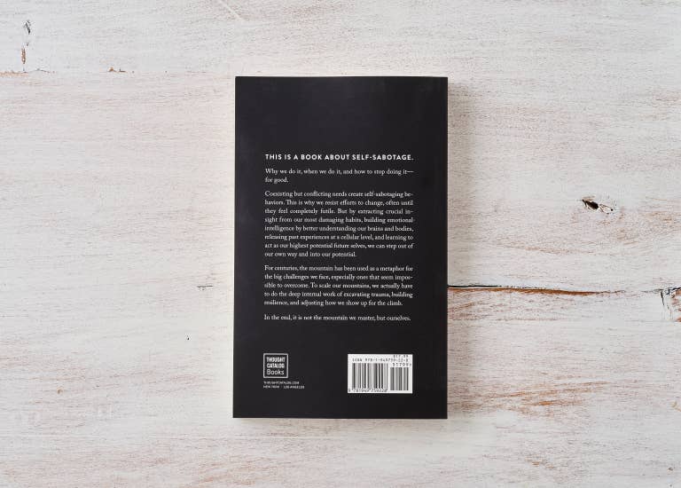 The Mountain Is You - Book