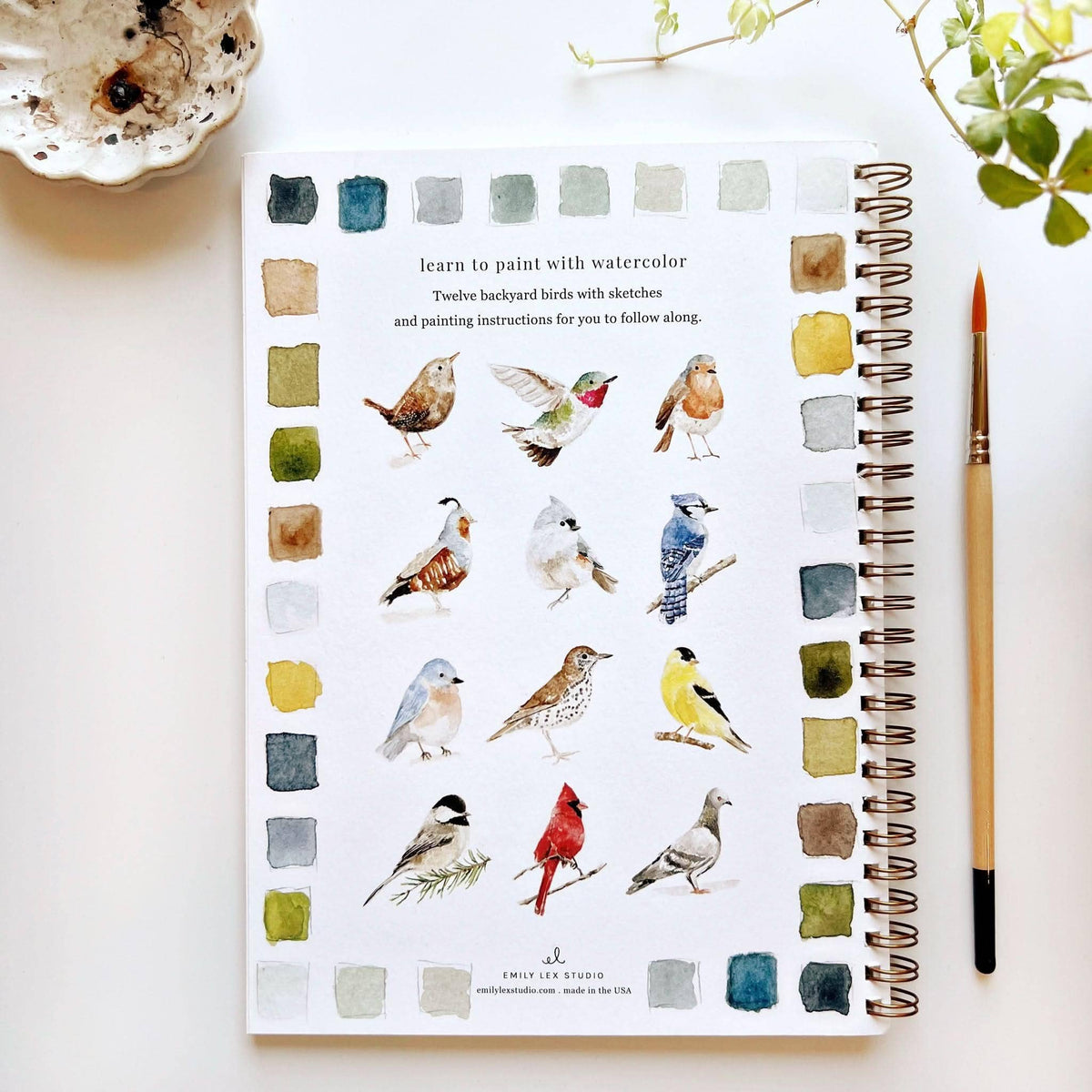 Birds Watercolor Workbook - emily lex studio