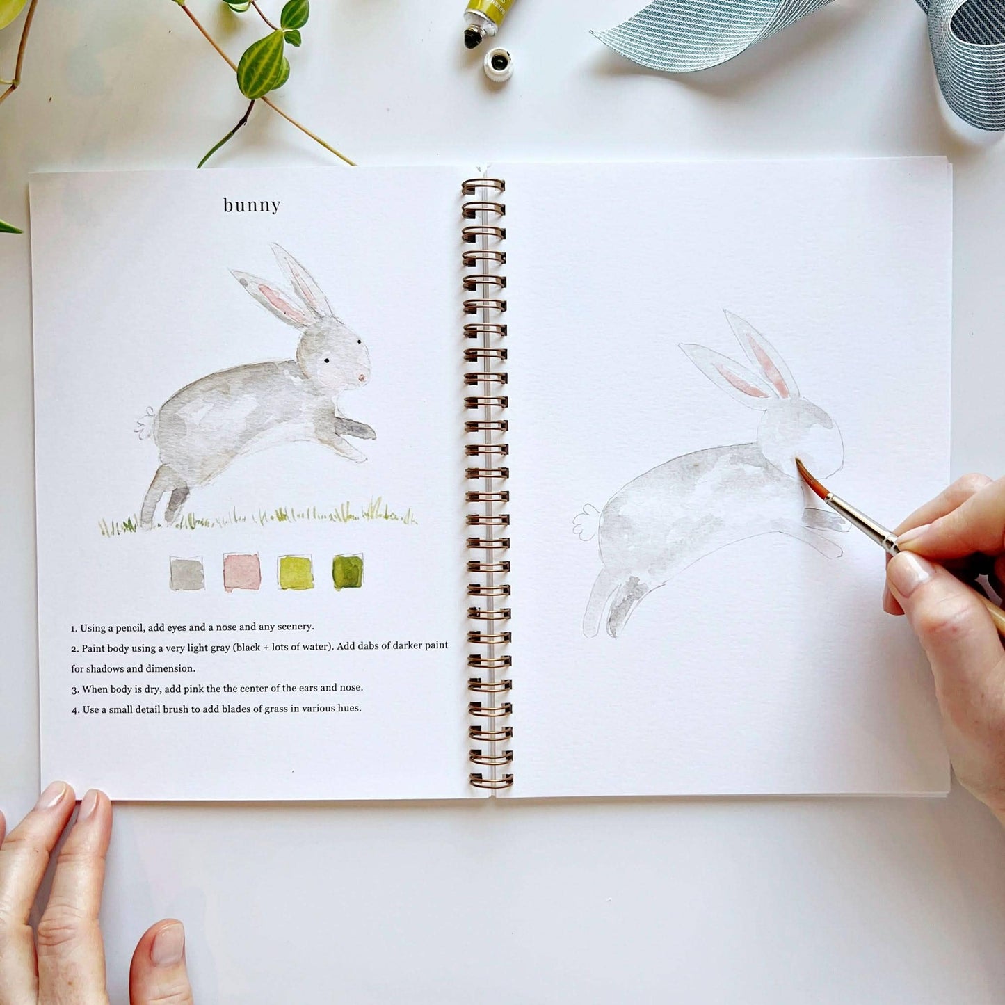 Animals Watercolor Workbook - emily lex studio