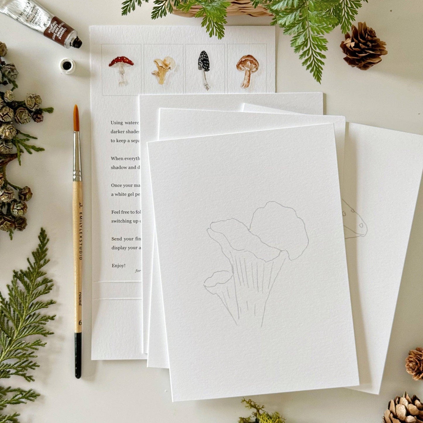 Mushrooms Paintable Notecards - emily lex studio