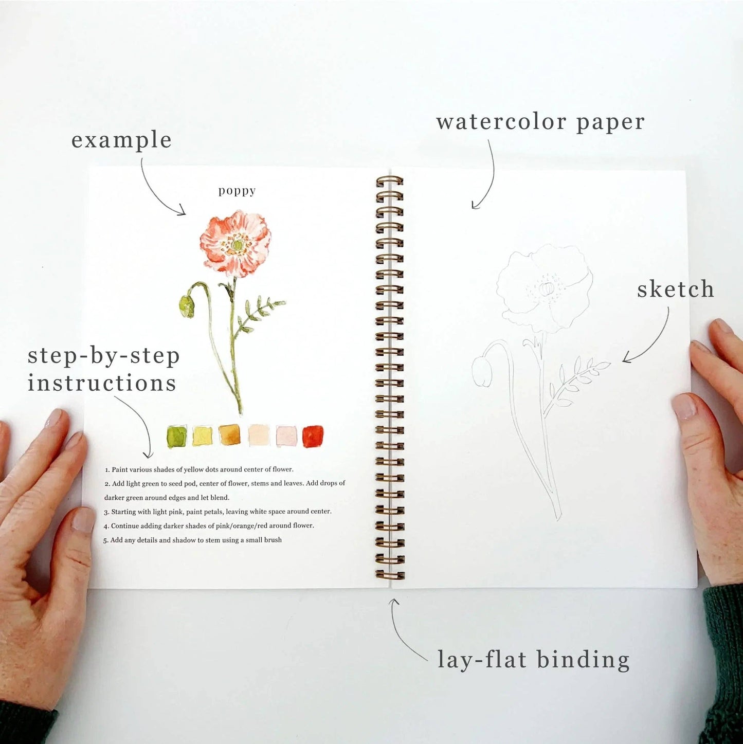 Flowers Watercolor Workbook - emily lex studio