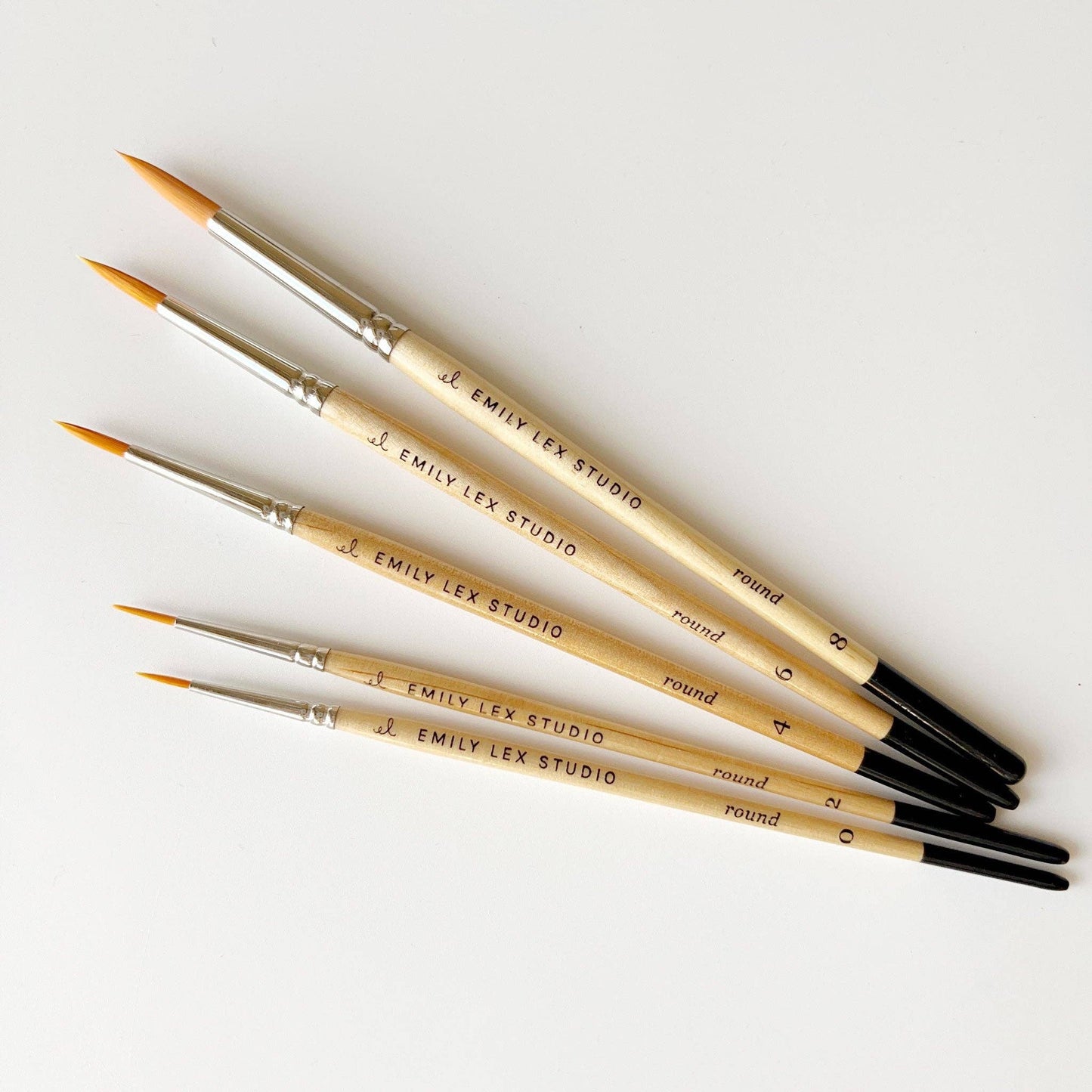 emily lex studio - Watercolor paintbrush