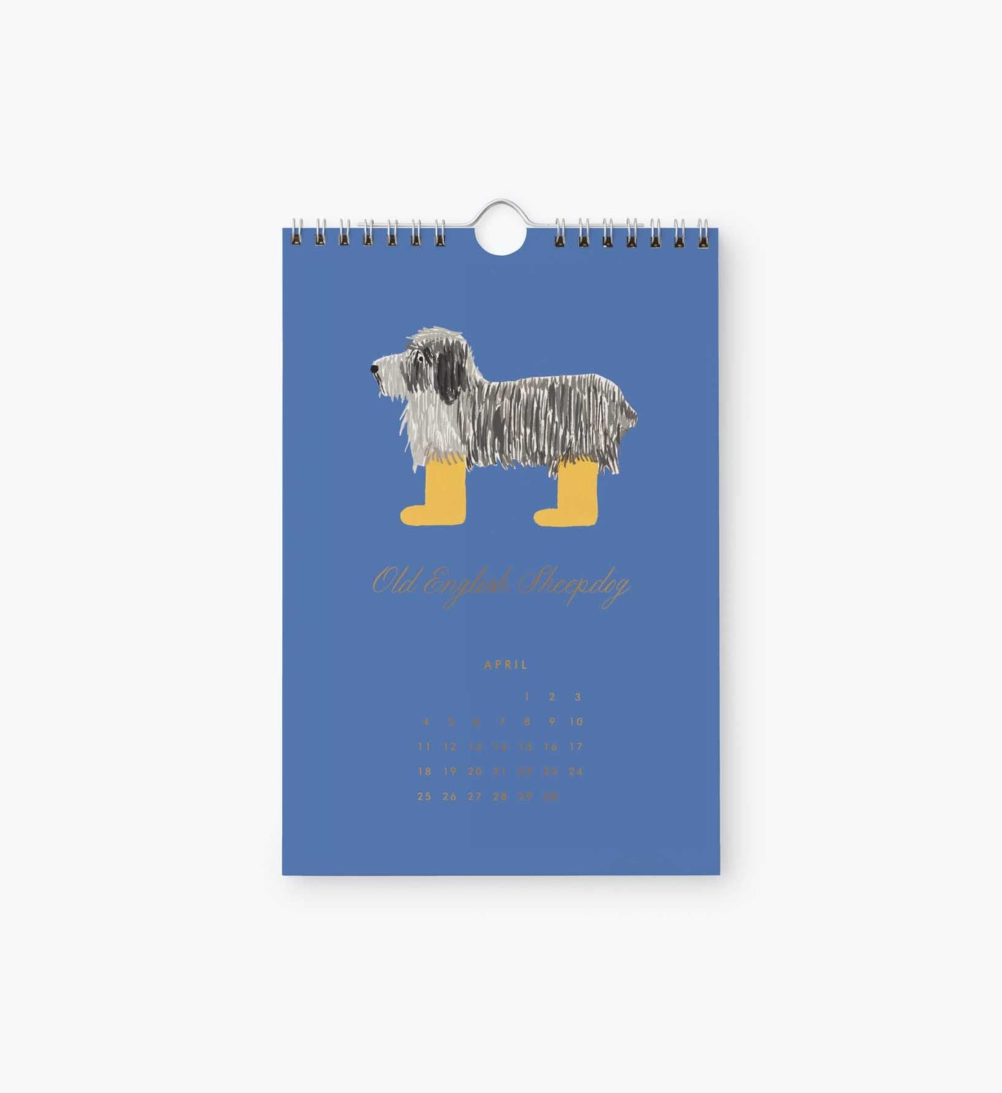 2027 Dog of the Month Kitchen Calendar (6x9)