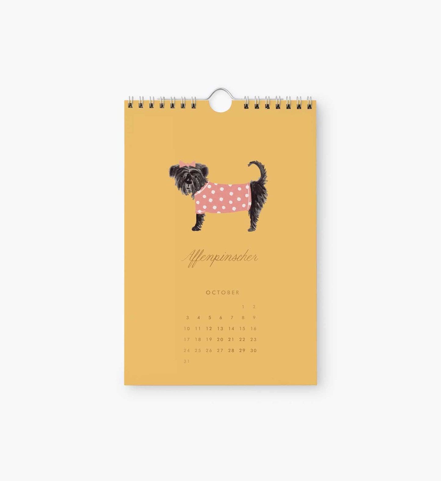 2027 Dog of the Month Kitchen Calendar (6x9)