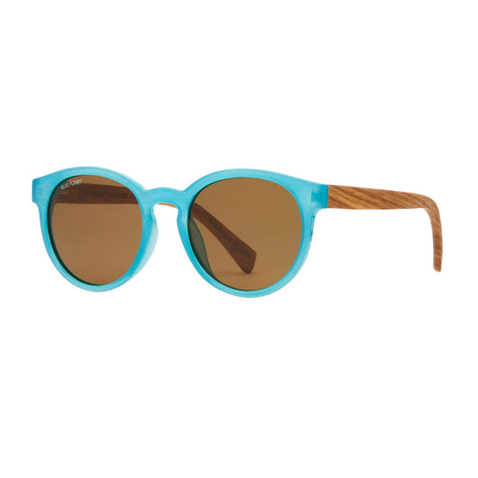 Reagan Polarized Glasses - Blue Planet Eco-Eyewear