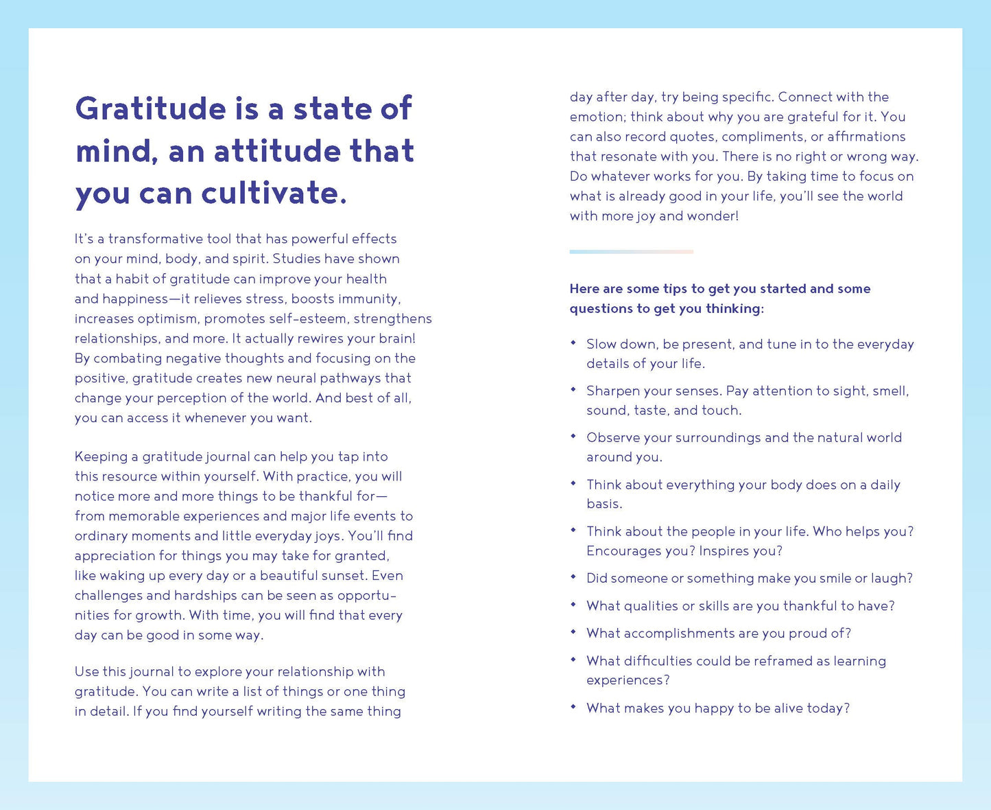 Gratitude One Line a Day