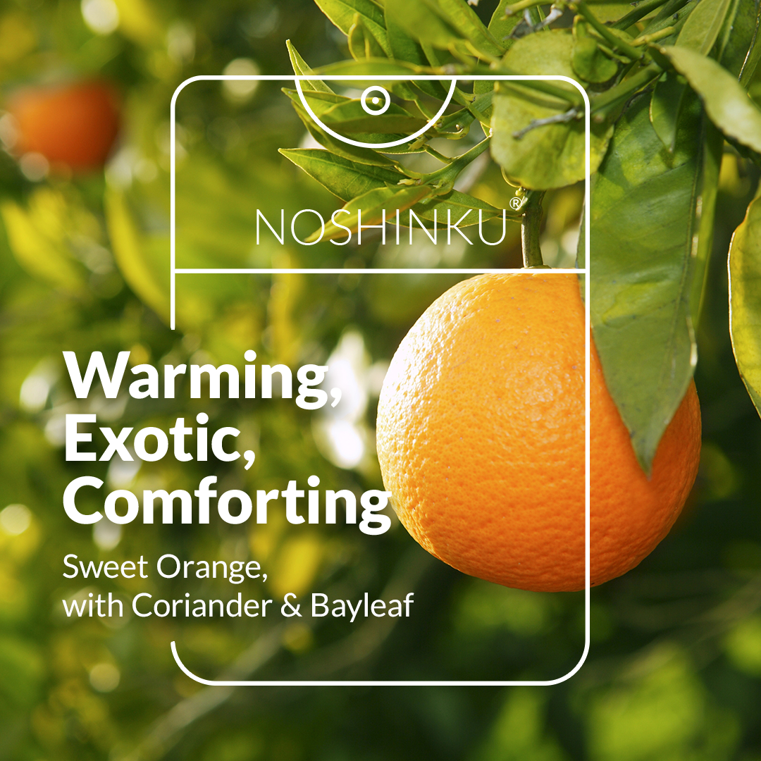Refillable Orange Coriander Moisturizing Hand Sanitizer - Noshinku