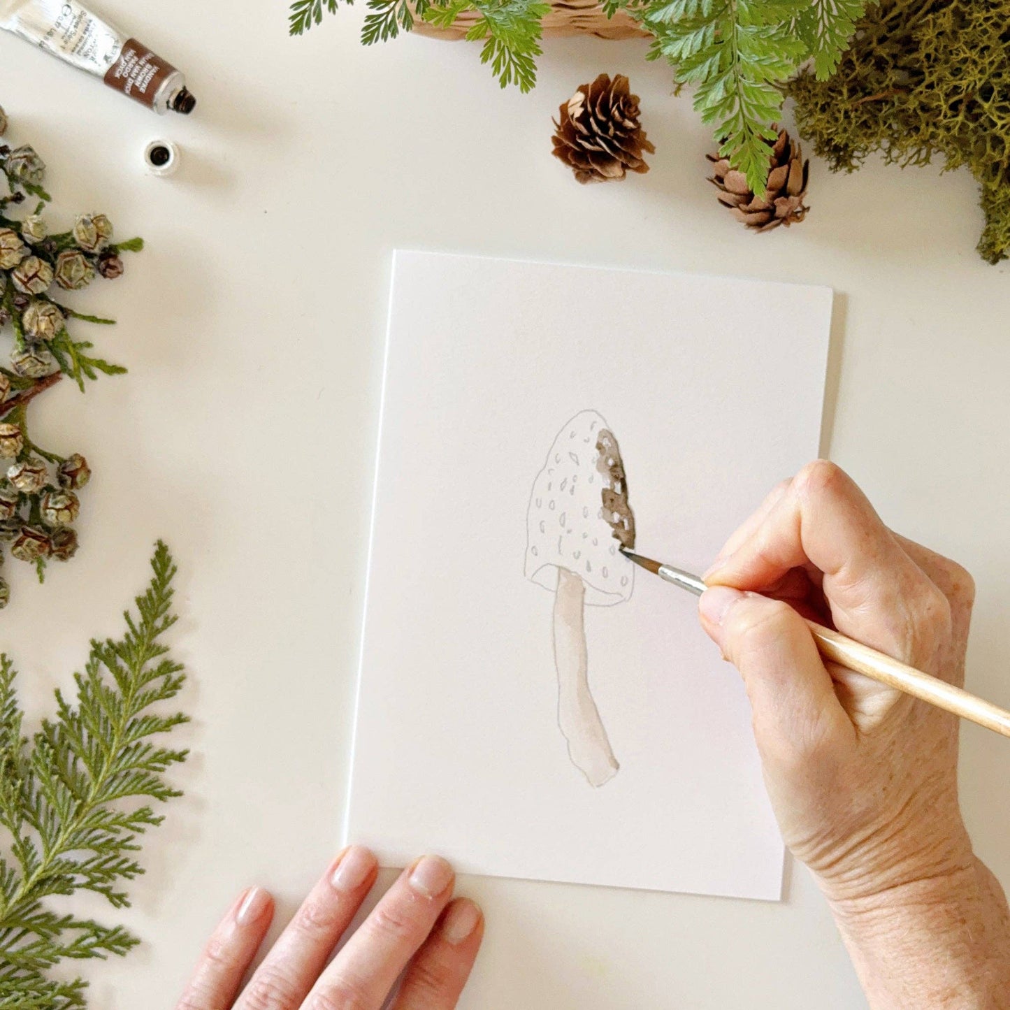 Mushrooms Paintable Notecards - emily lex studio