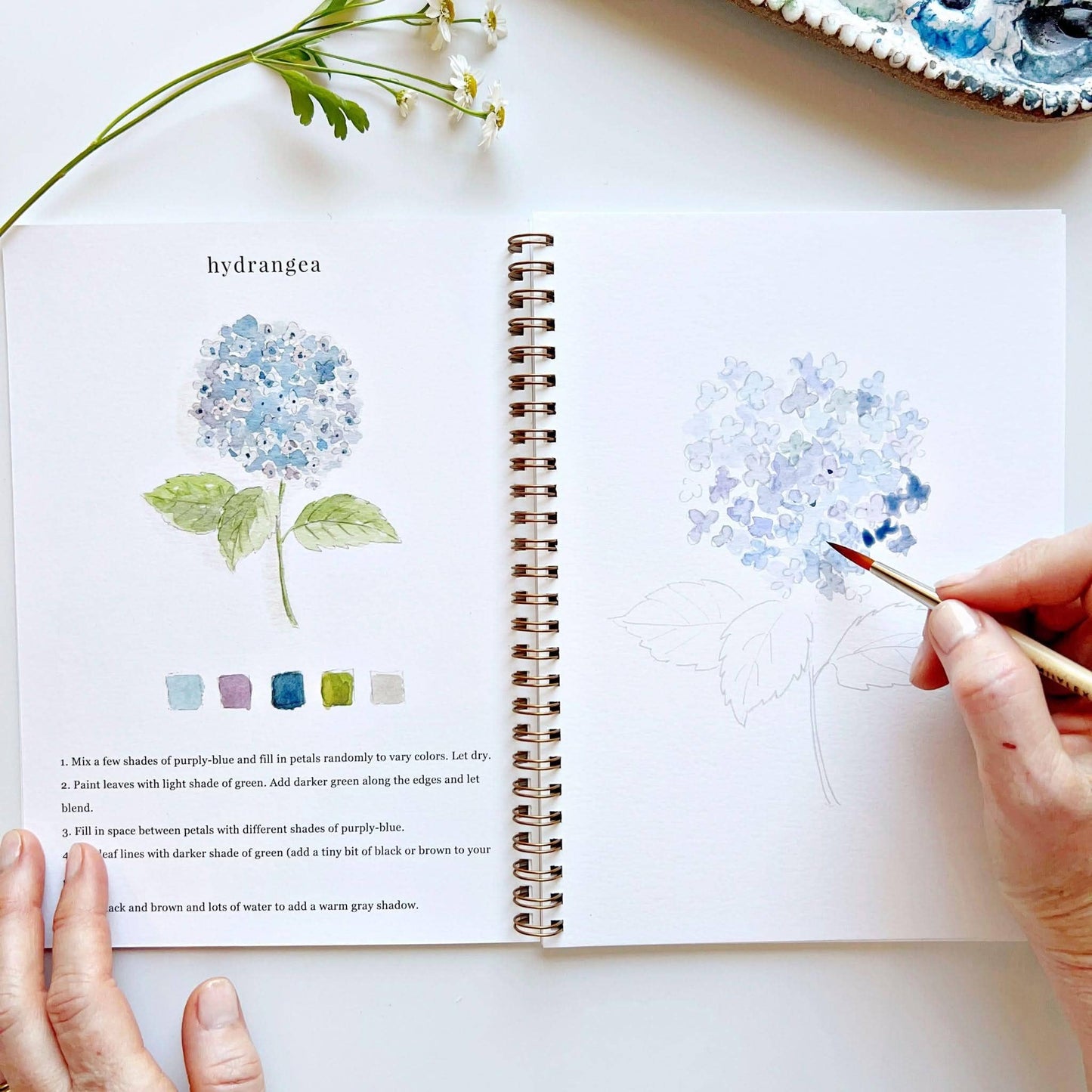 Flowers Watercolor Workbook - emily lex studio
