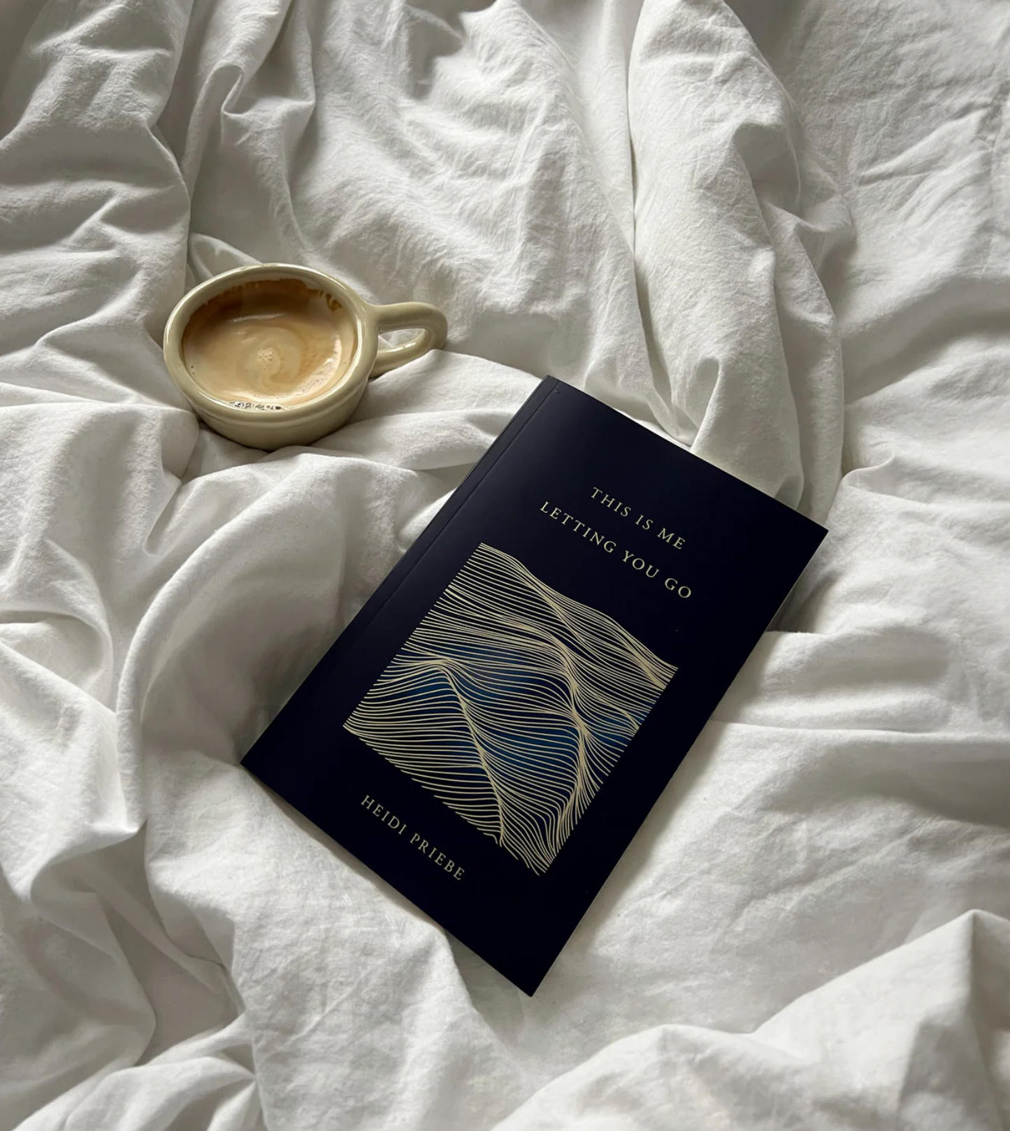 This Is Me Letting You Go - Heidi Priebe