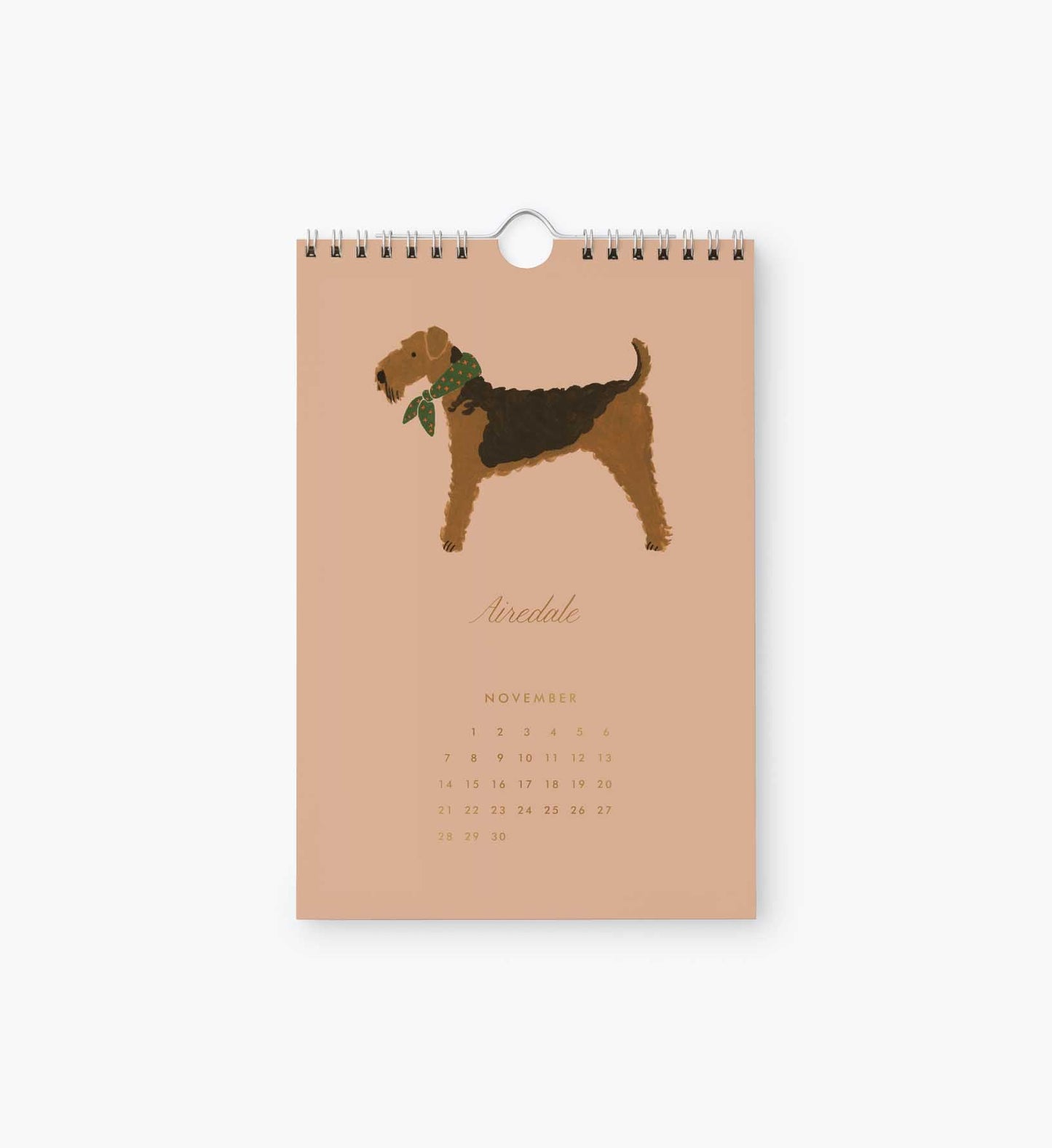 2027 Dog of the Month Kitchen Calendar (6x9)
