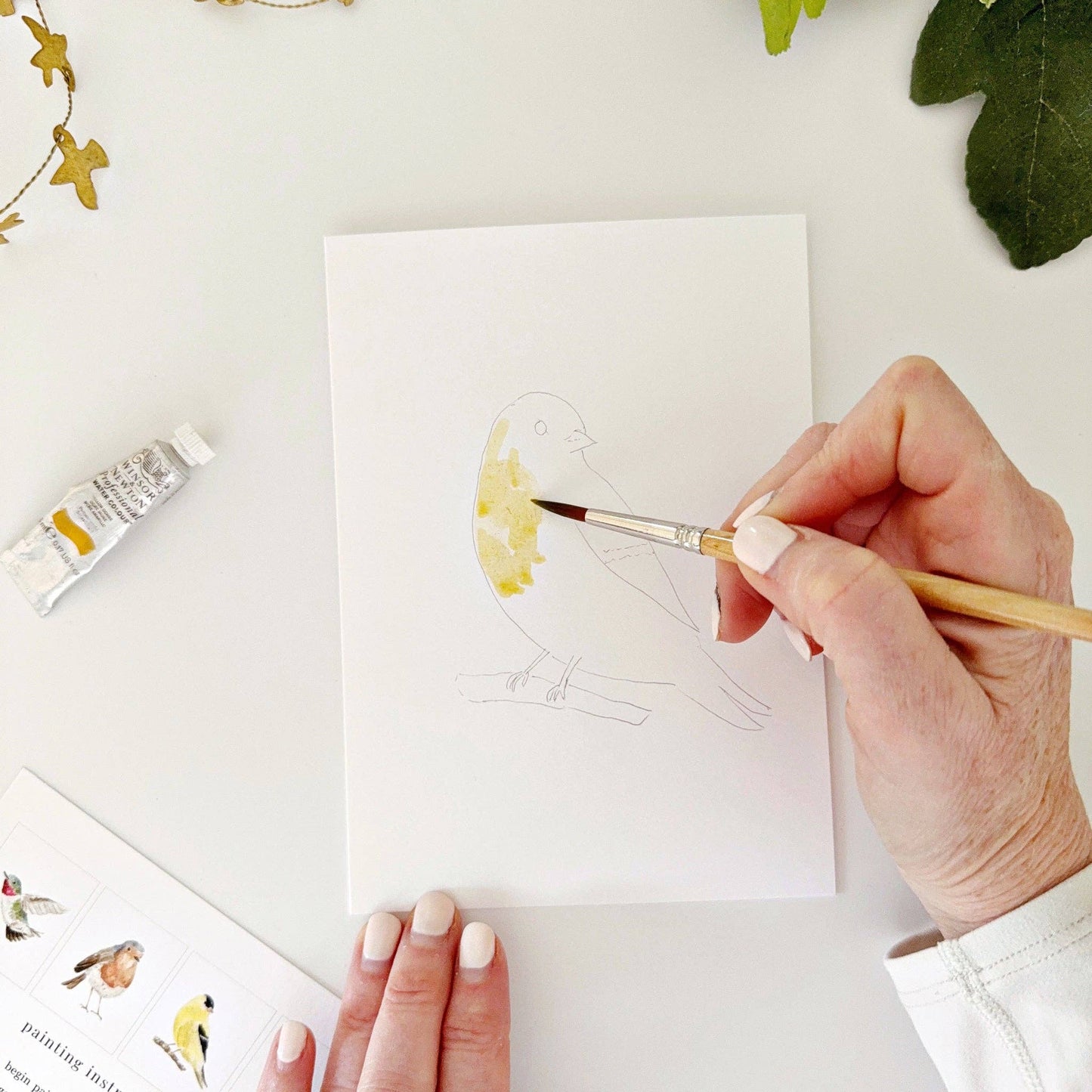 Backyard Birds Paintable Notecards - emily lex studio