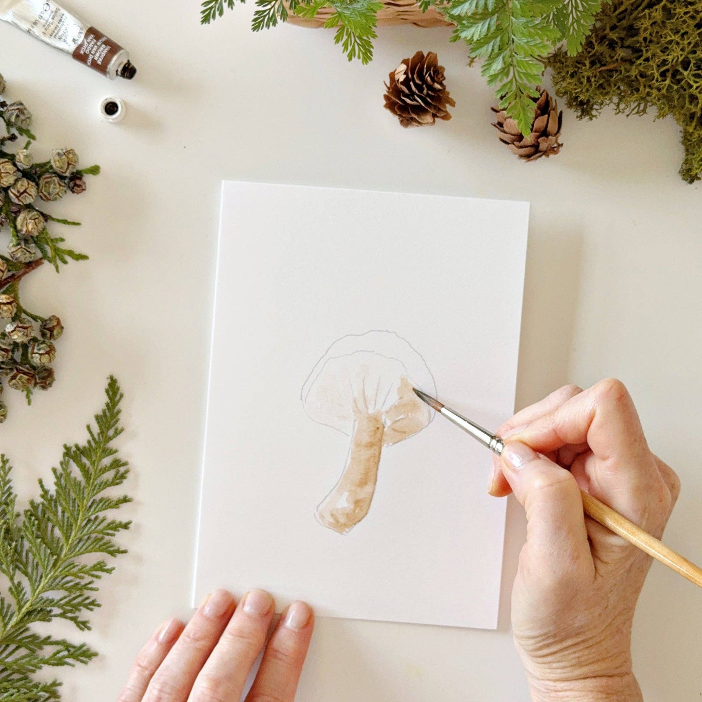 Mushrooms Paintable Notecards - emily lex studio
