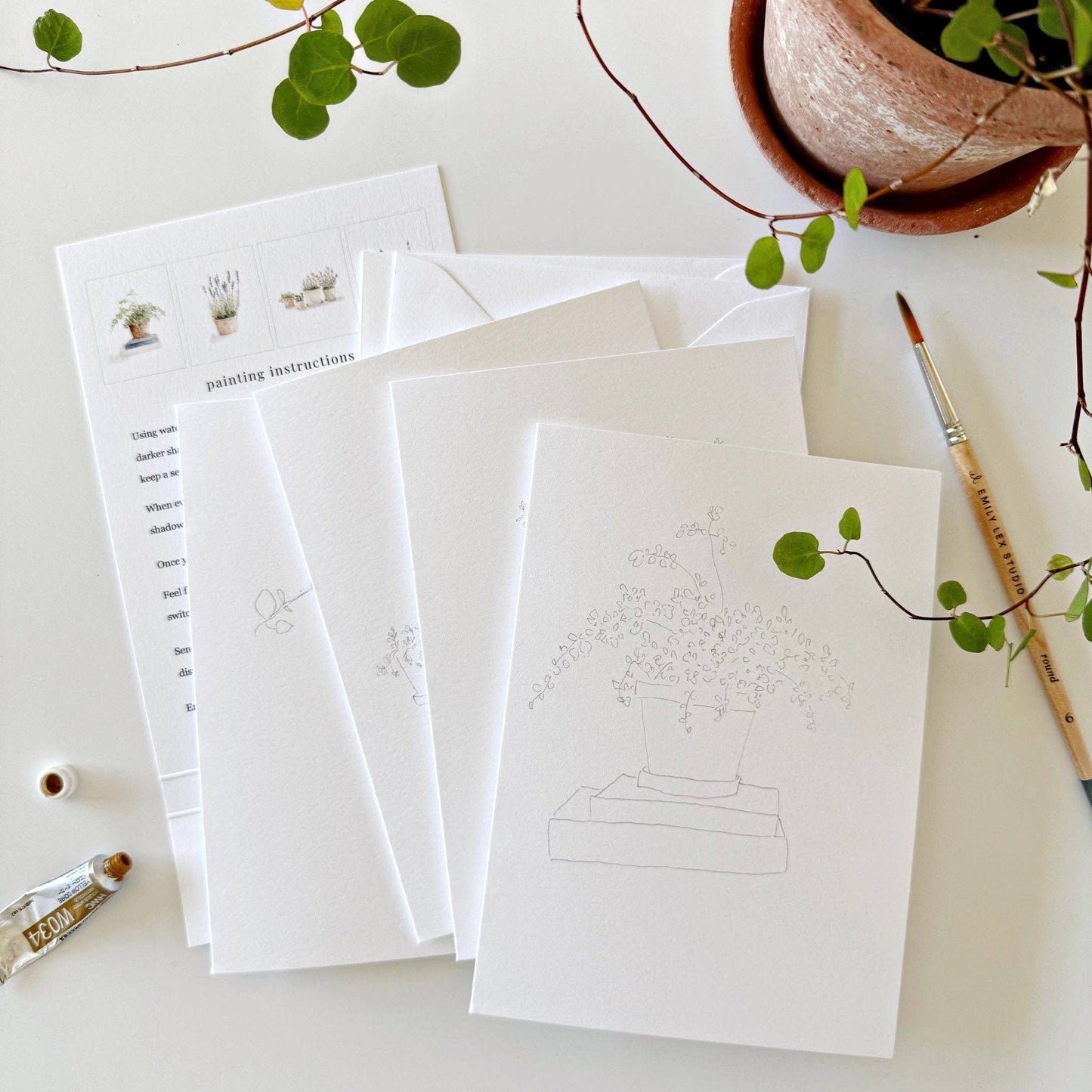 Potted Plants Paintable Notecards - emily lex studio