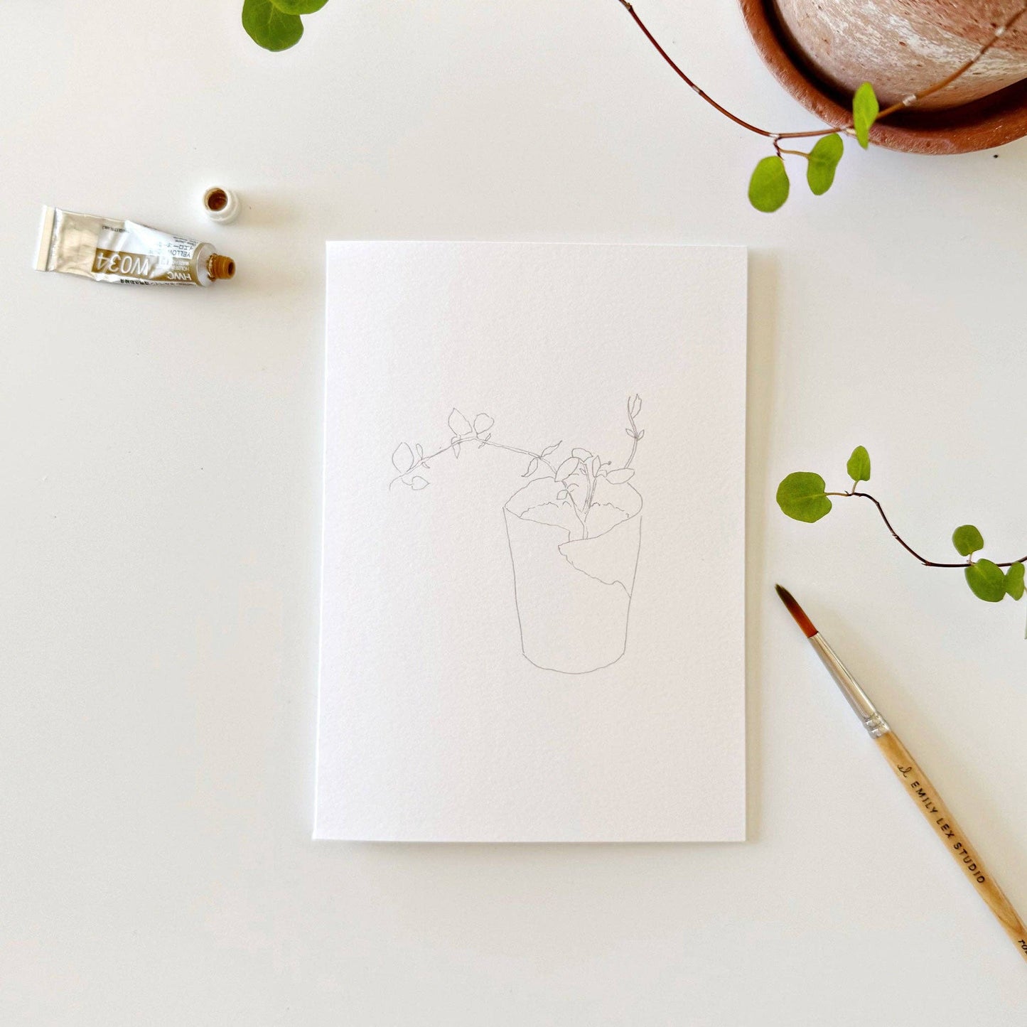 Potted Plants Paintable Notecards - emily lex studio