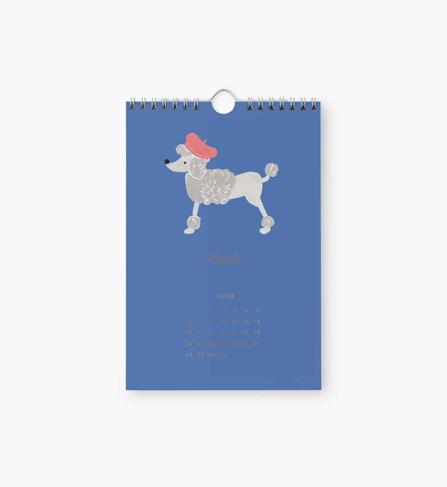 2027 Dog of the Month Kitchen Calendar (6x9)
