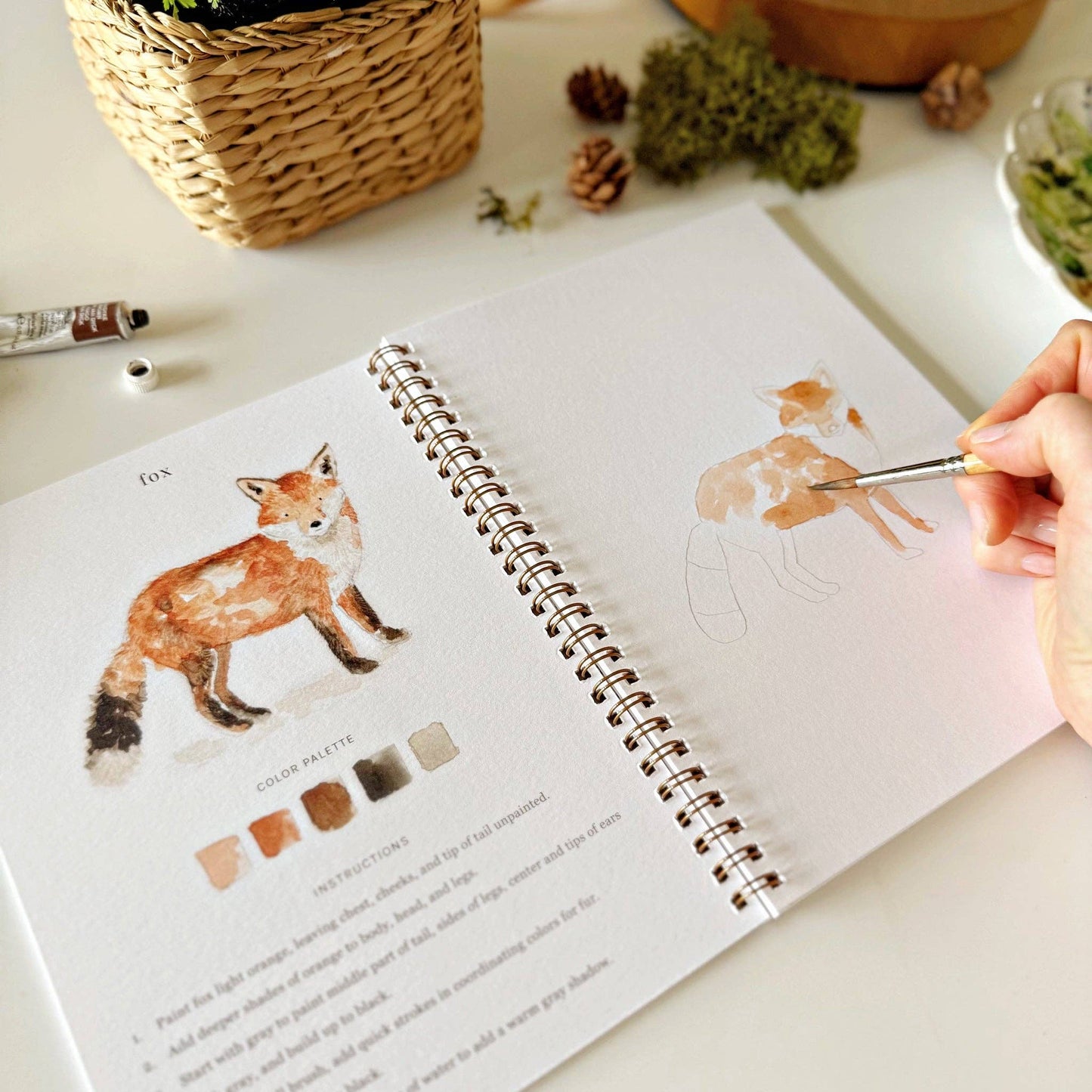 Woodland Watercolor Workbook - emily lex studio