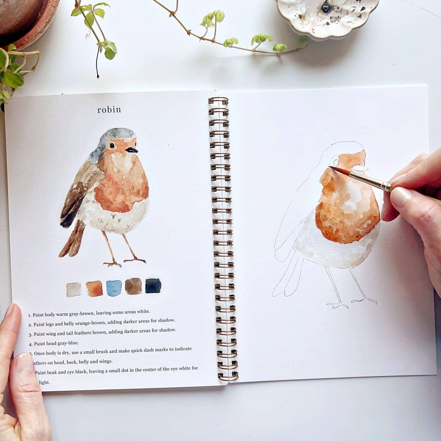 Birds Watercolor Workbook - emily lex studio