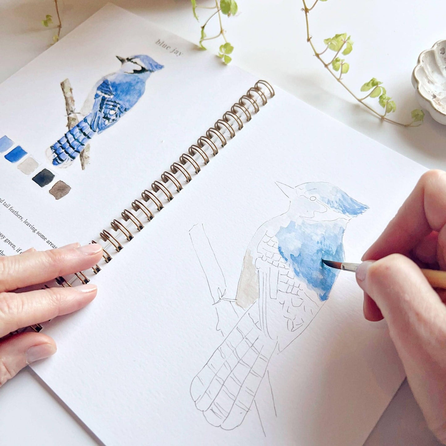 Birds Watercolor Workbook - emily lex studio