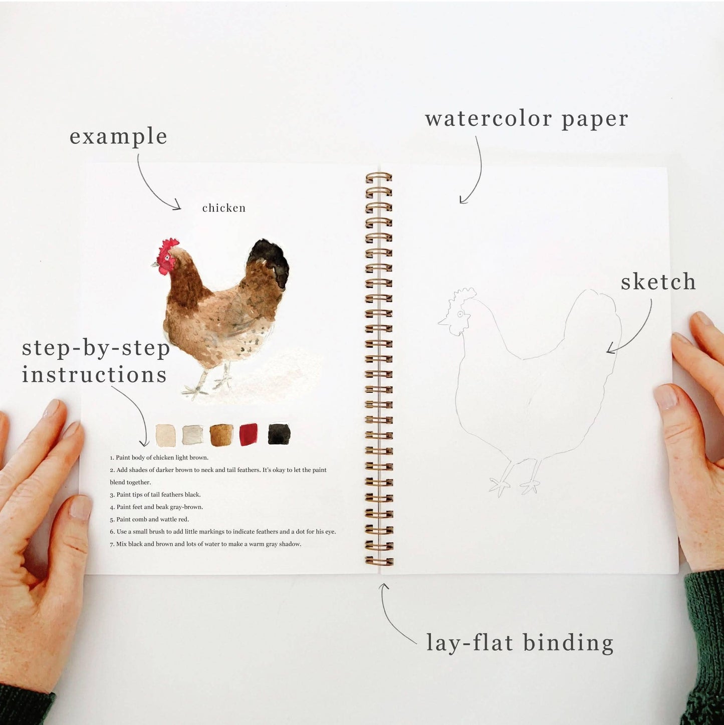Animals Watercolor Workbook - emily lex studio