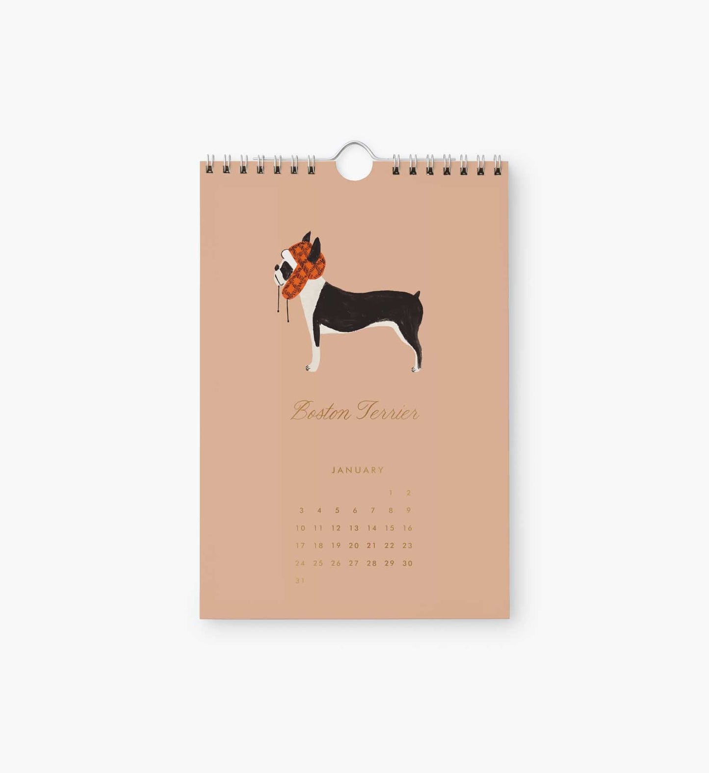 2027 Dog of the Month Kitchen Calendar (6x9)