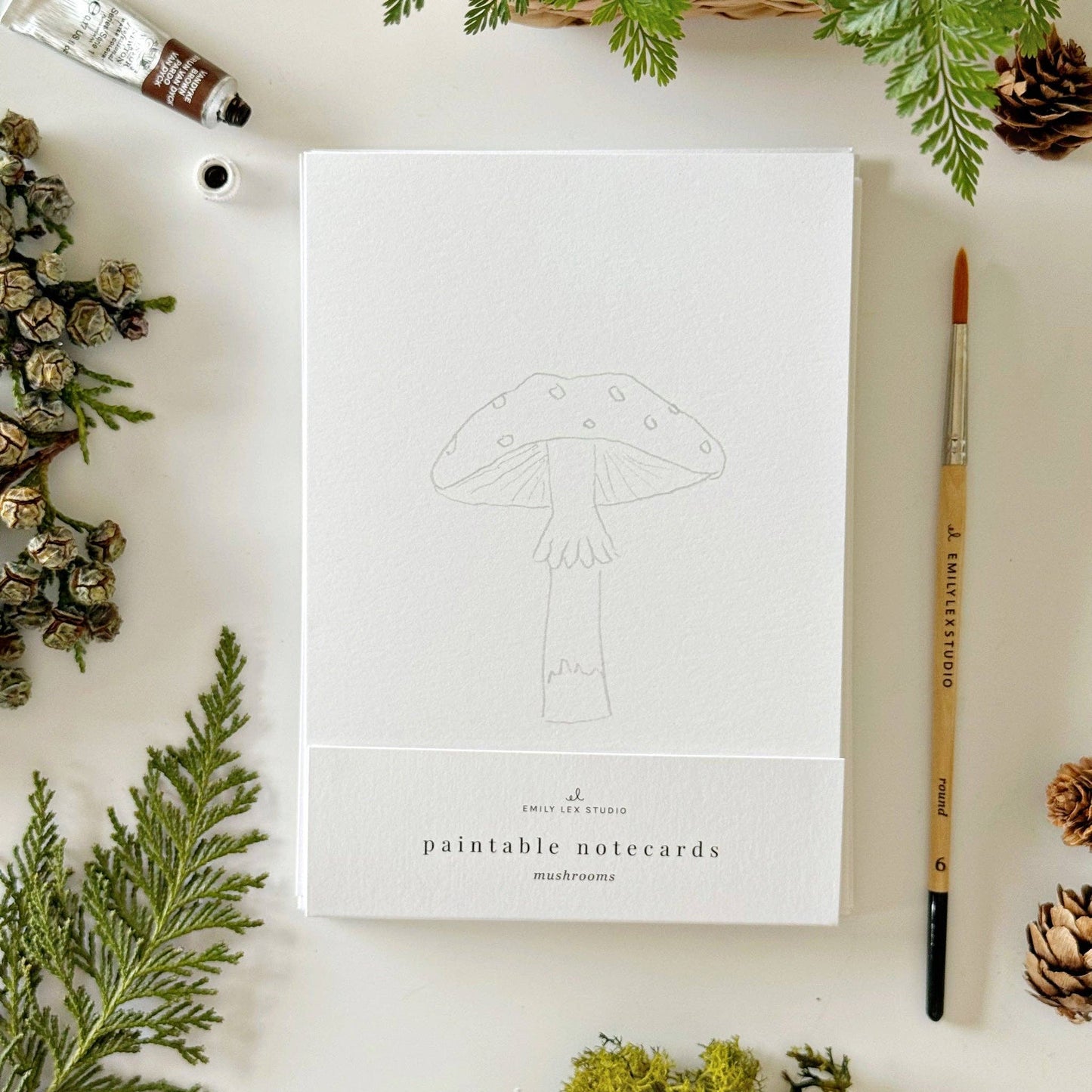 Mushrooms Paintable Notecards - emily lex studio