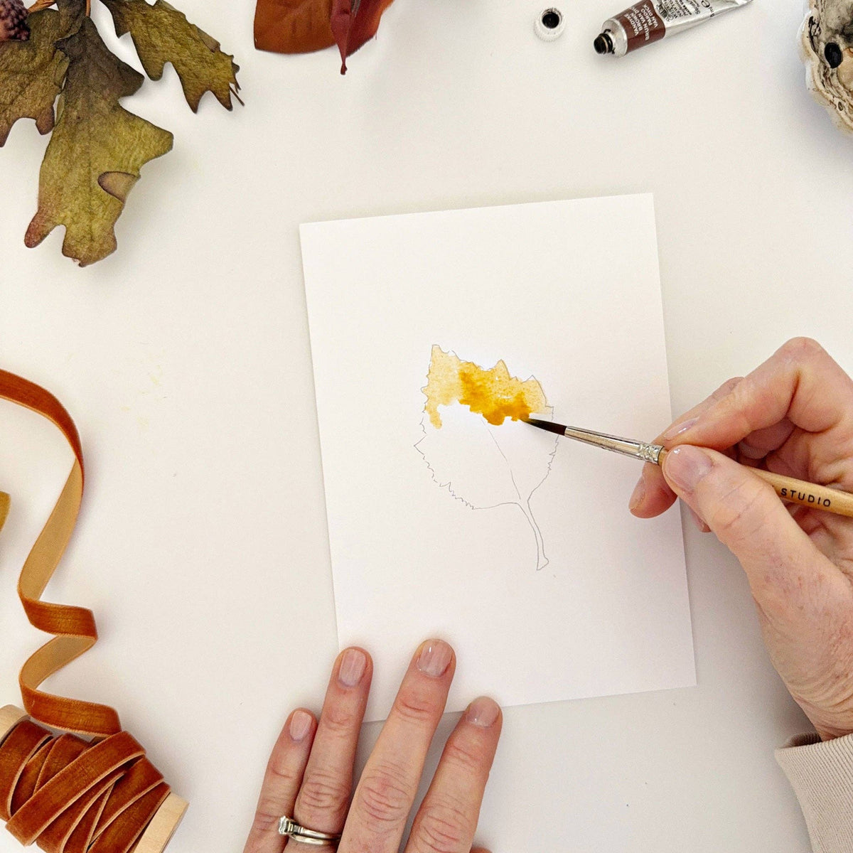 Fall Leaves Paintable Notecards - emily lex studio