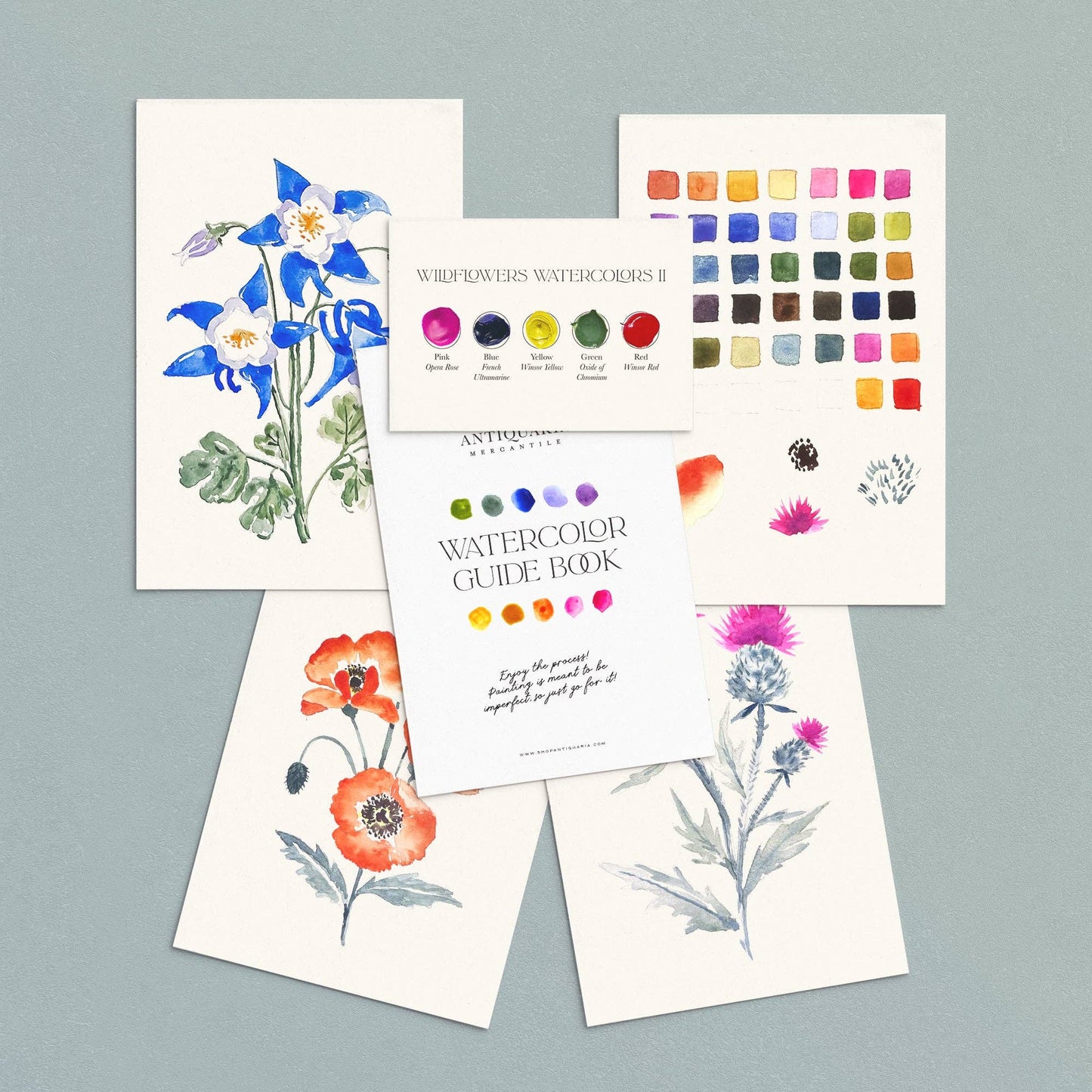 Antiquaria Watercolor Painting Kit : Wildflowers No2