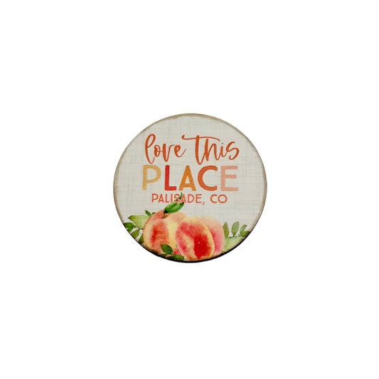 Love This Place Palisade Colorado Magnet