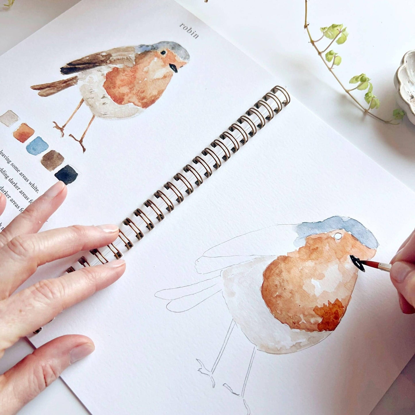 Birds Watercolor Workbook - emily lex studio