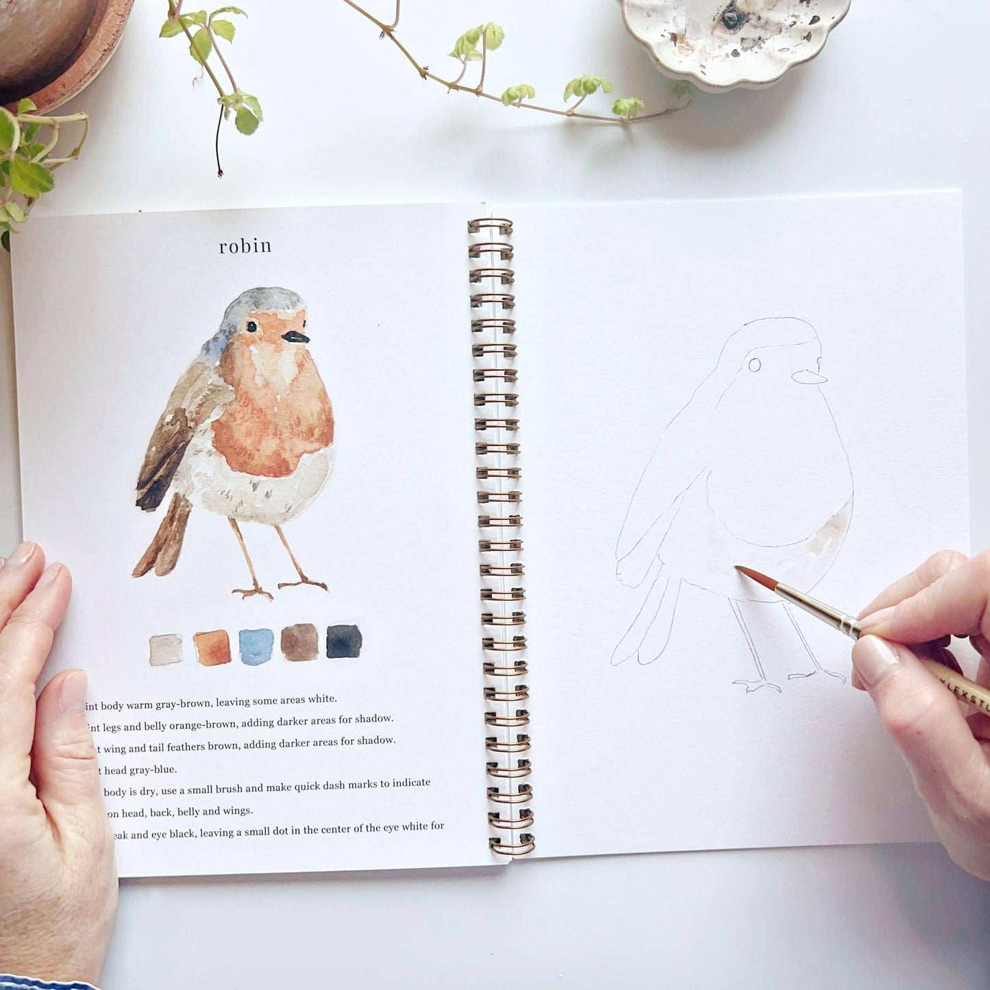 Birds Watercolor Workbook - emily lex studio