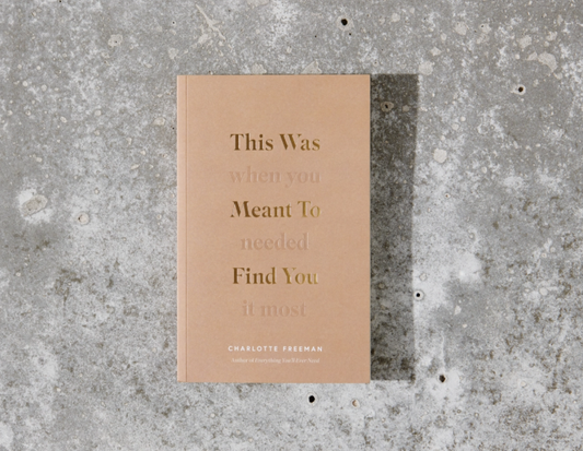 This Was Meant To Find You (When You Needed It Most) - Book