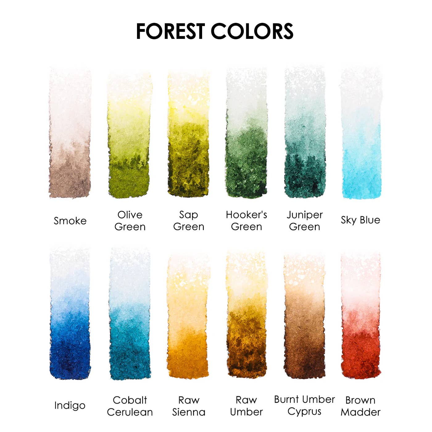 Watercolor Pocket Set of 12 - Forest Colors - Grabie