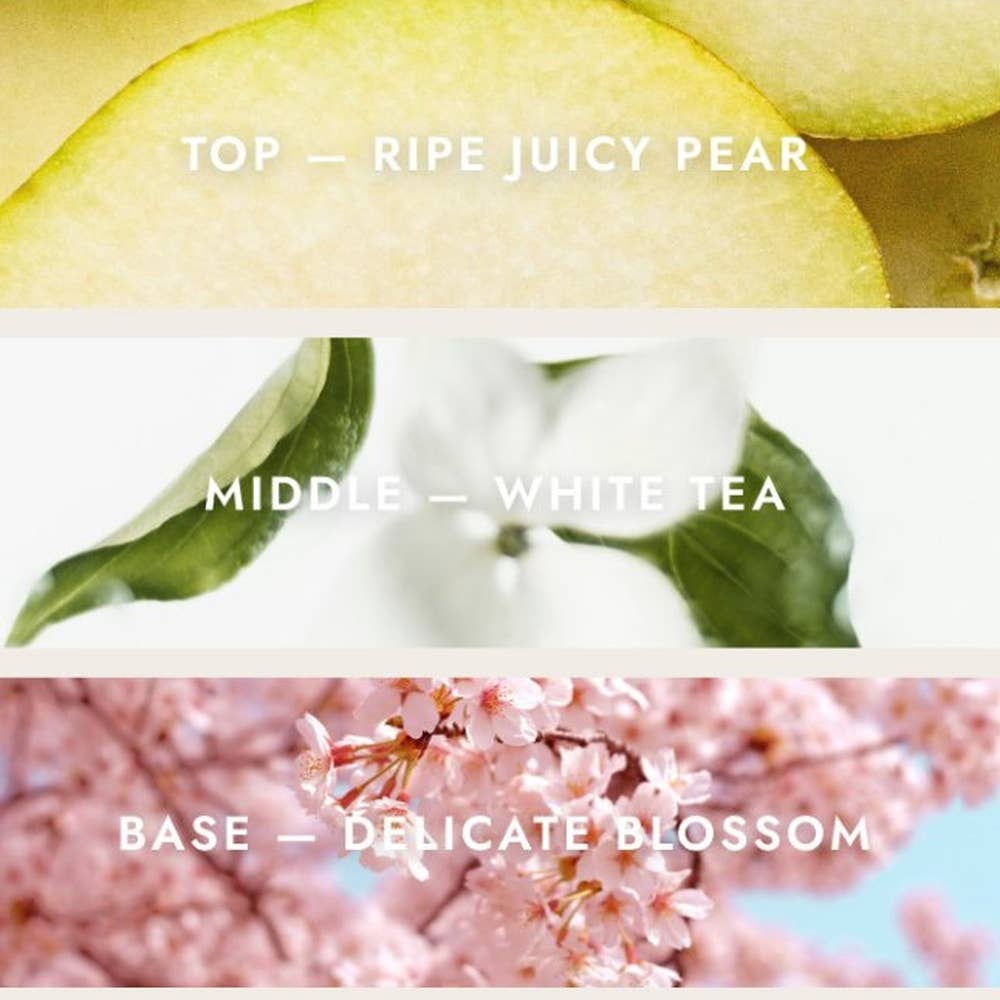 Pear Blossom Tea Hydrating Hand Sanitizer Spray Refill Pouch - Noshinku