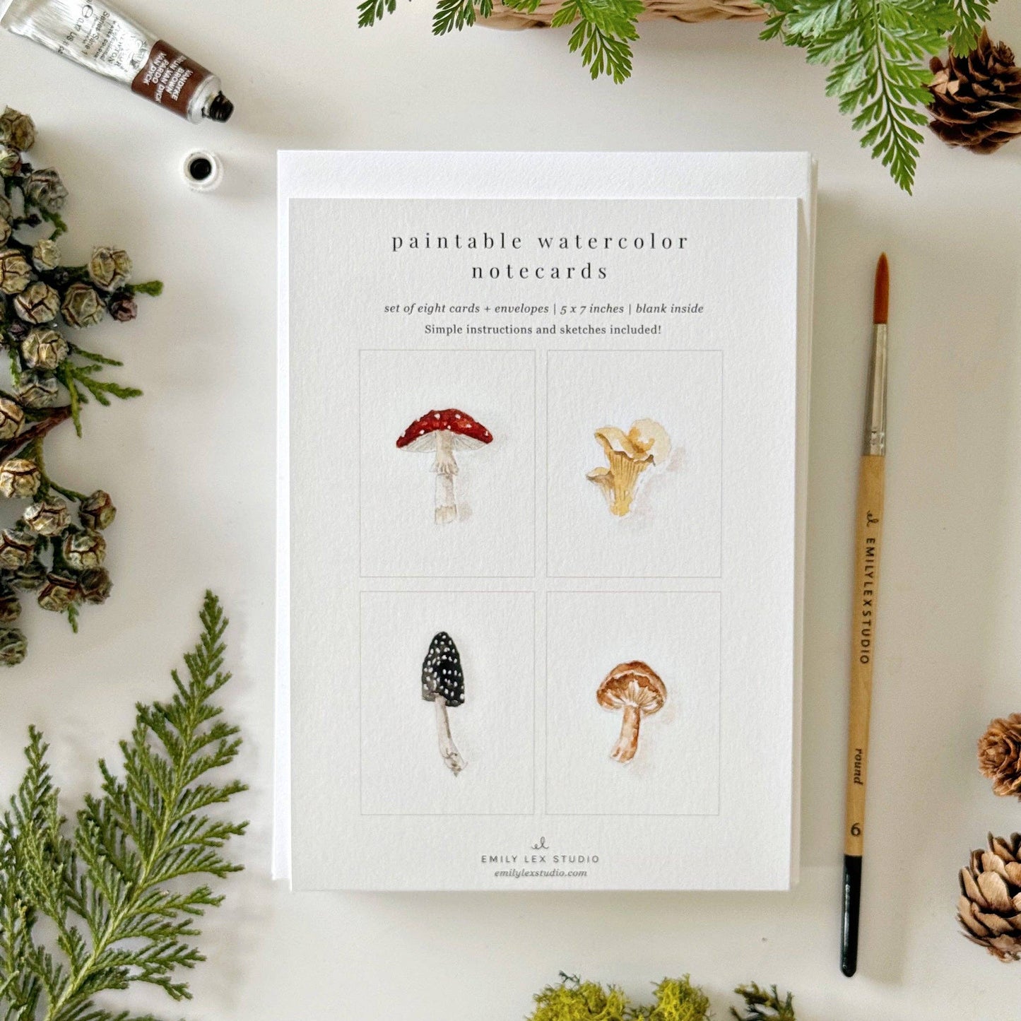 Mushrooms Paintable Notecards - emily lex studio