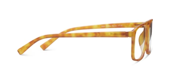 Ryder Honey Tortoise Readers - Peepers