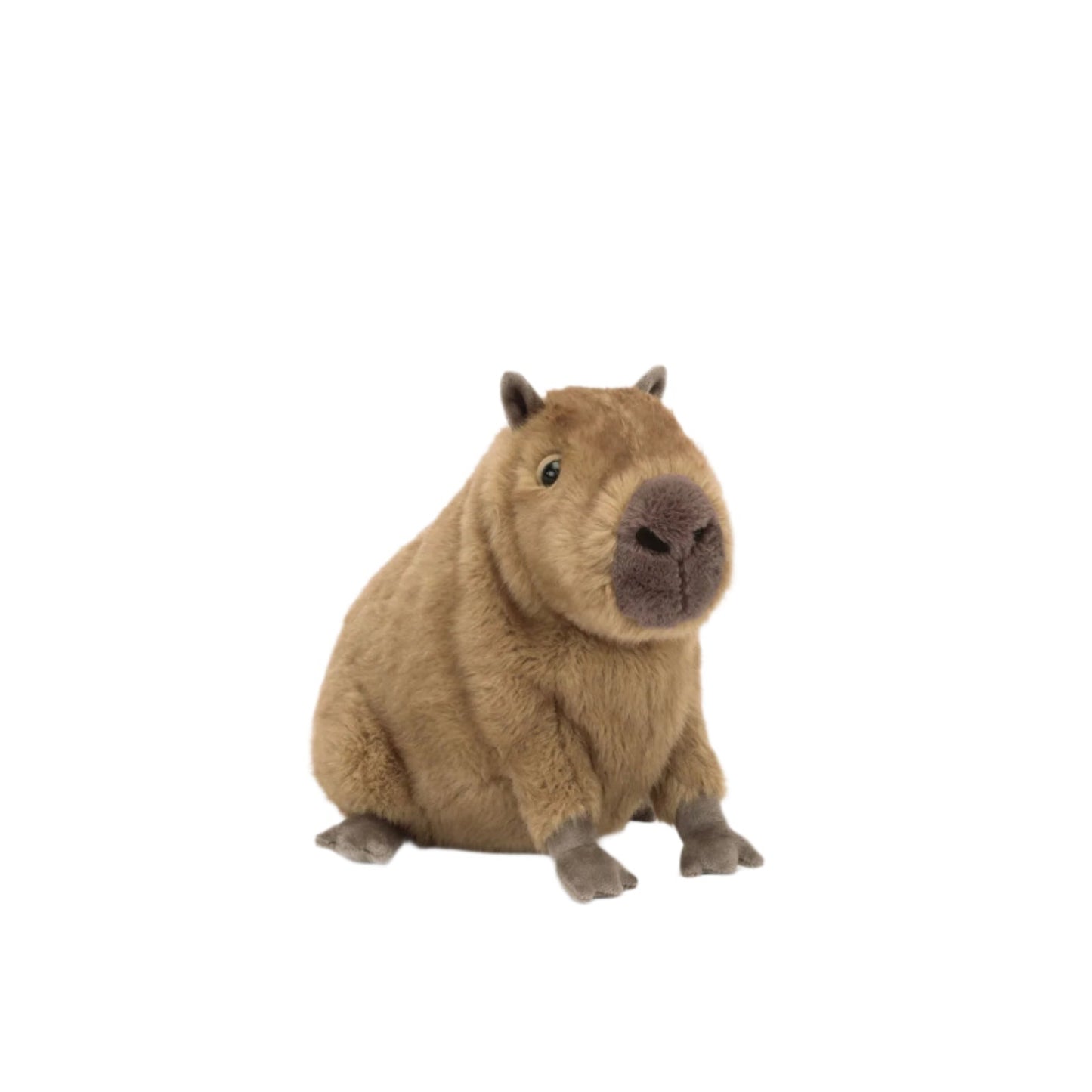 Clyde Capybara - JELLYCAT