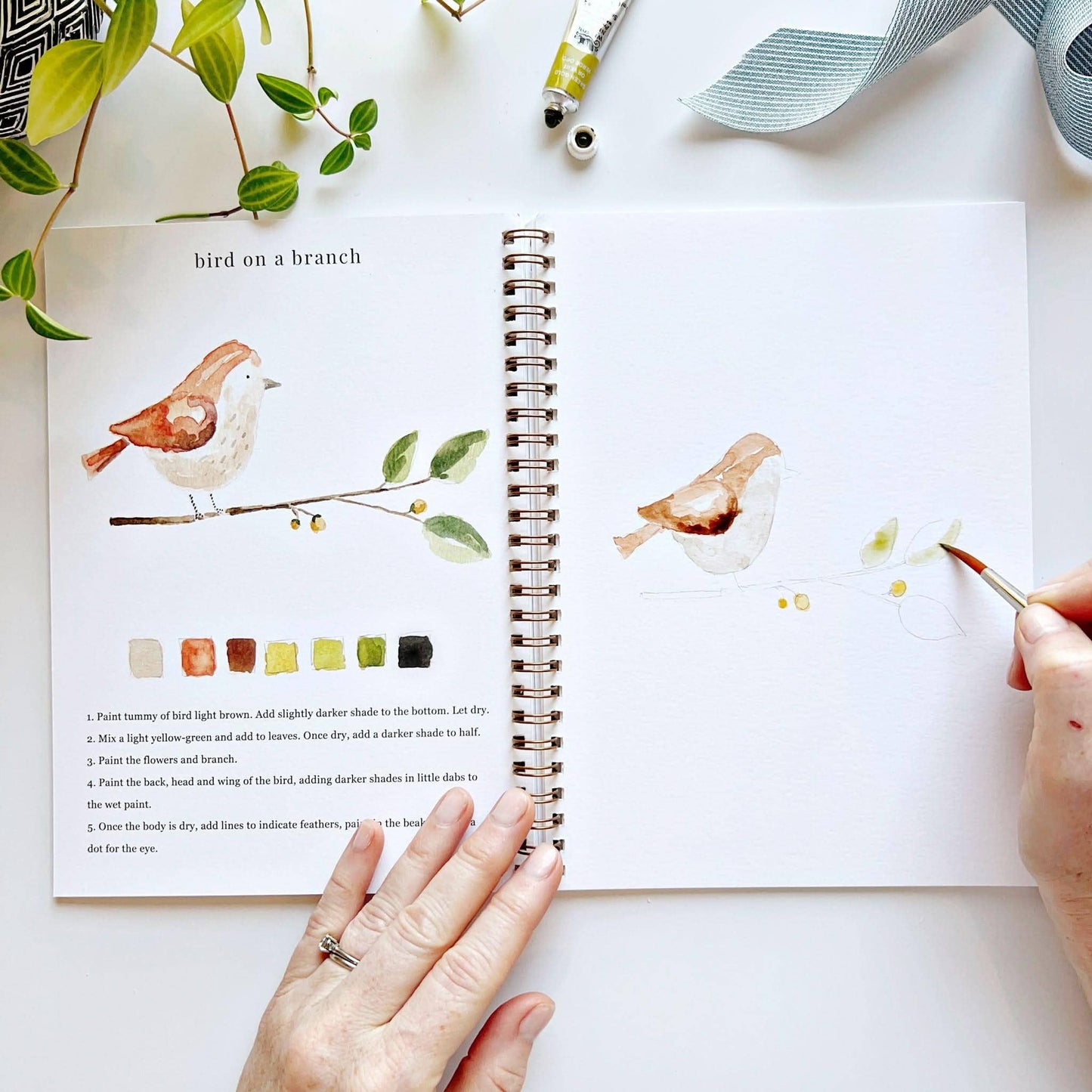 Animals Watercolor Workbook - emily lex studio