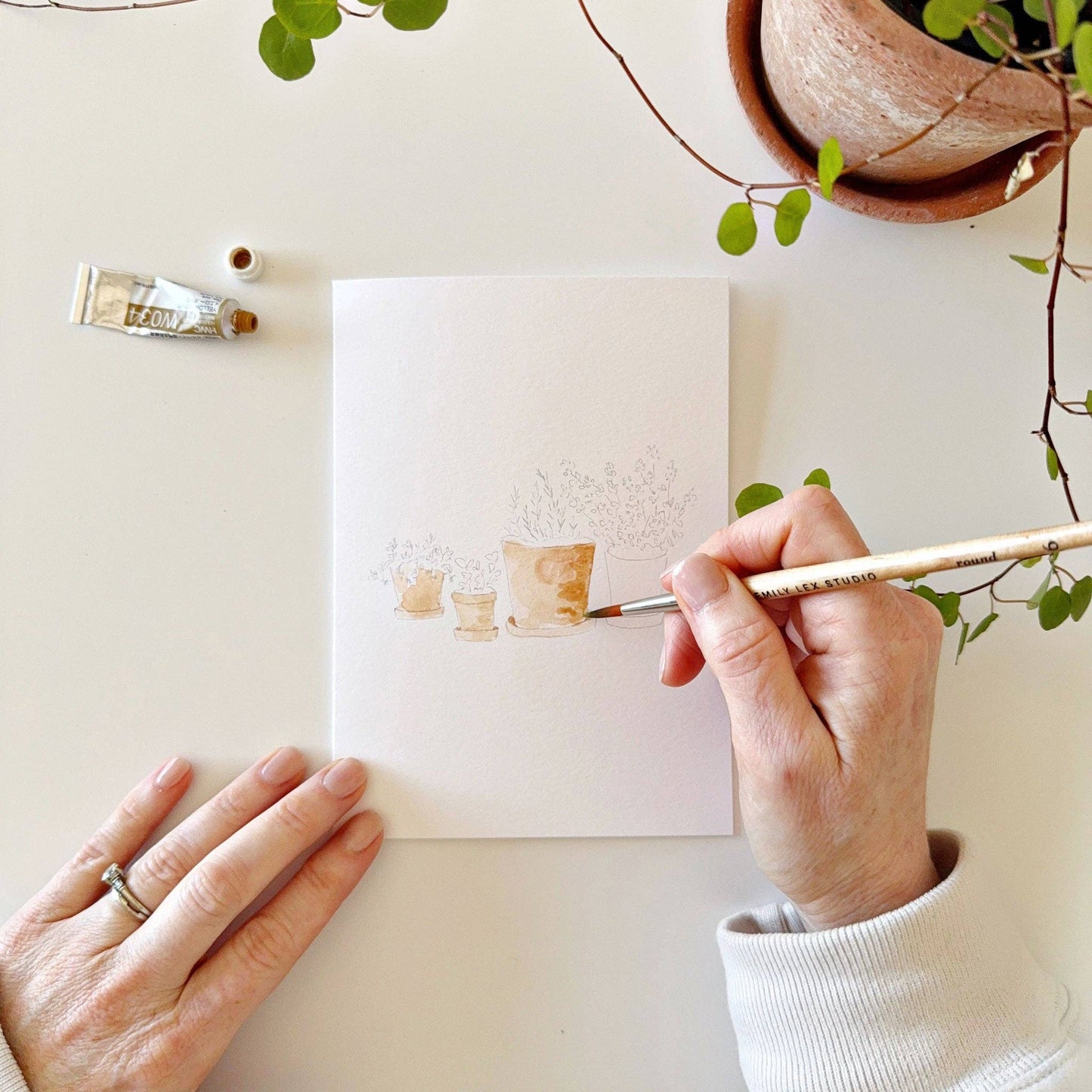 Potted Plants Paintable Notecards - emily lex studio