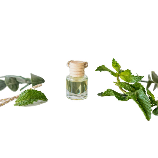 Ivy & Sage Co. - Cactus Flower: Car Diffuser